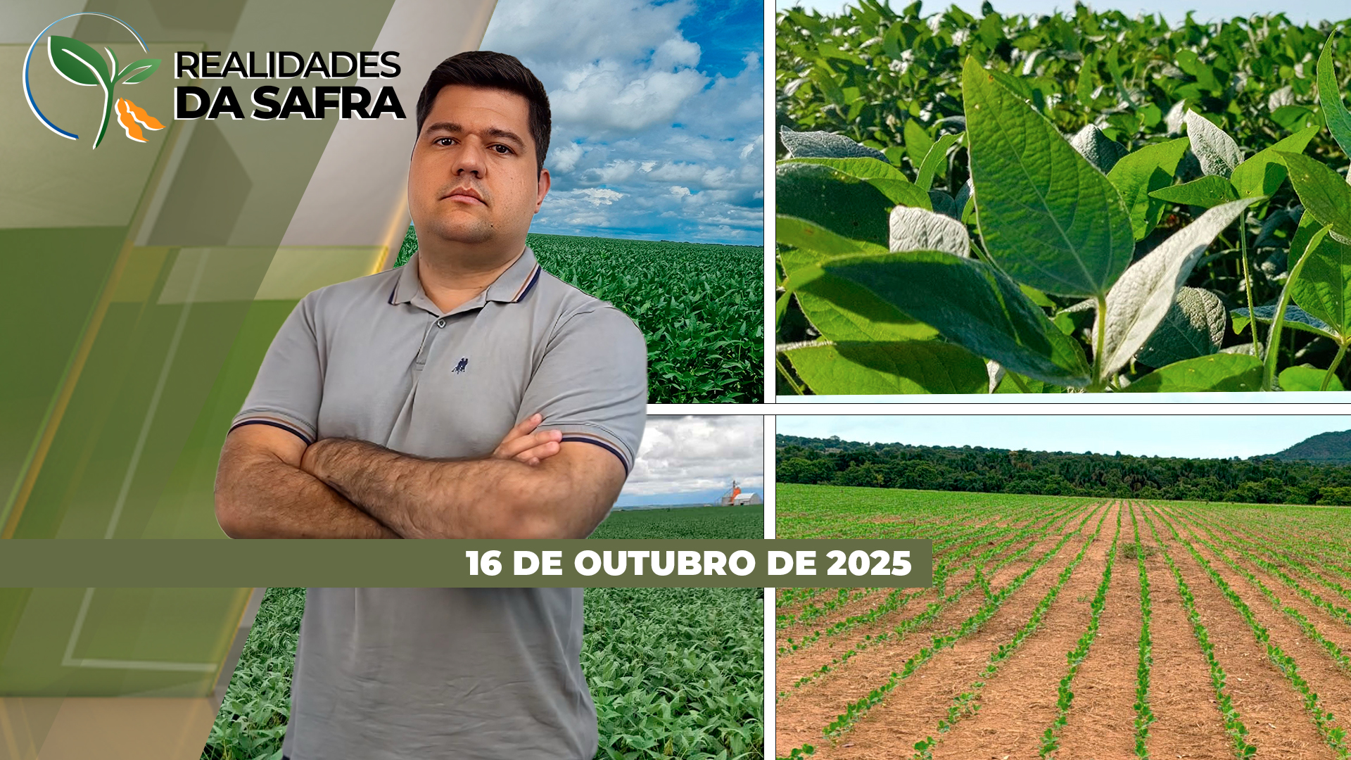 Plantio da soja avança rápido e deve ser encerrado ainda em outubro em Maringá/PR e Caarapó/MS