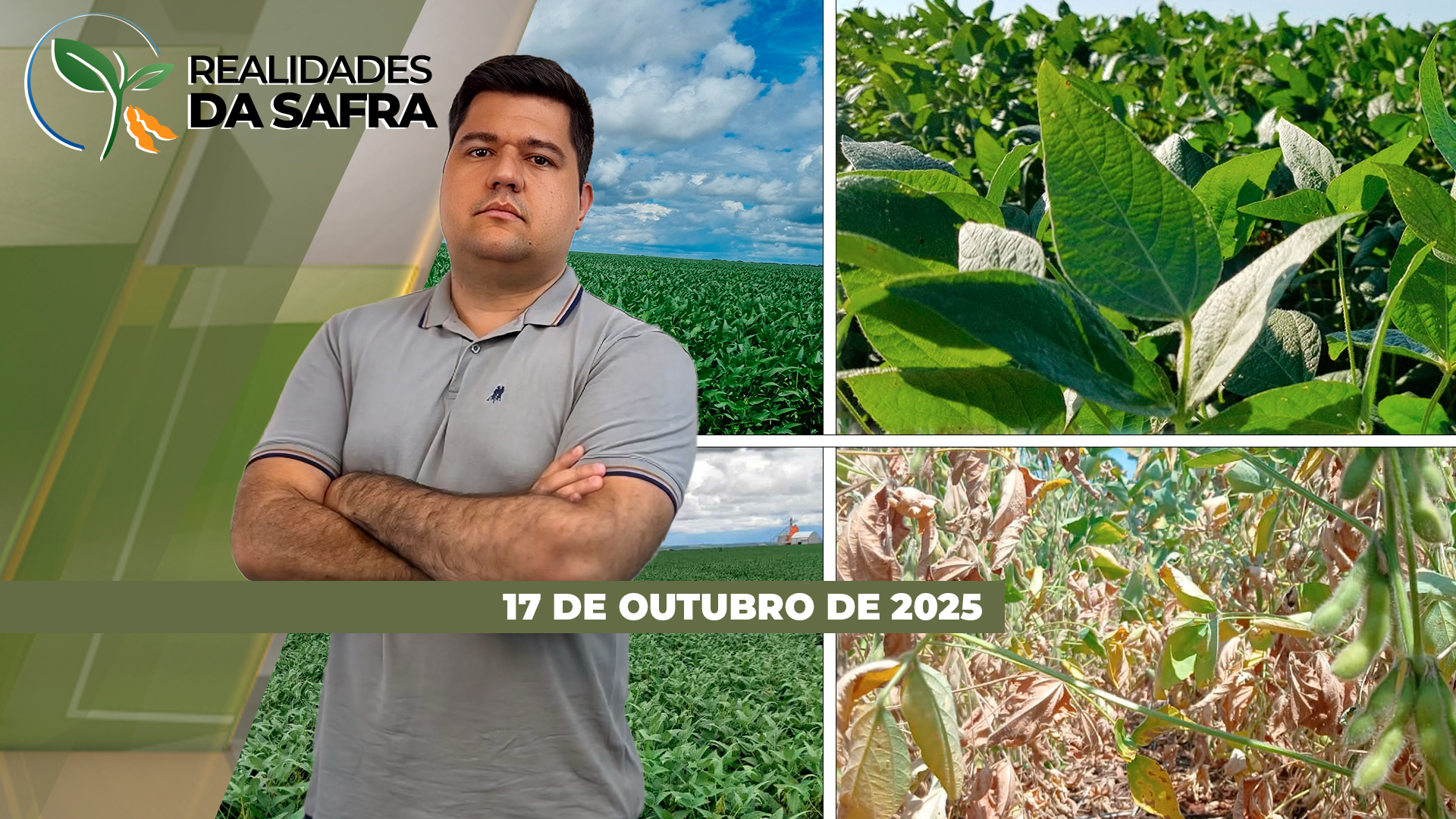 Condições de clima ajudam e plantio da soja entra na reta final em Rondônia e Amambai/MS