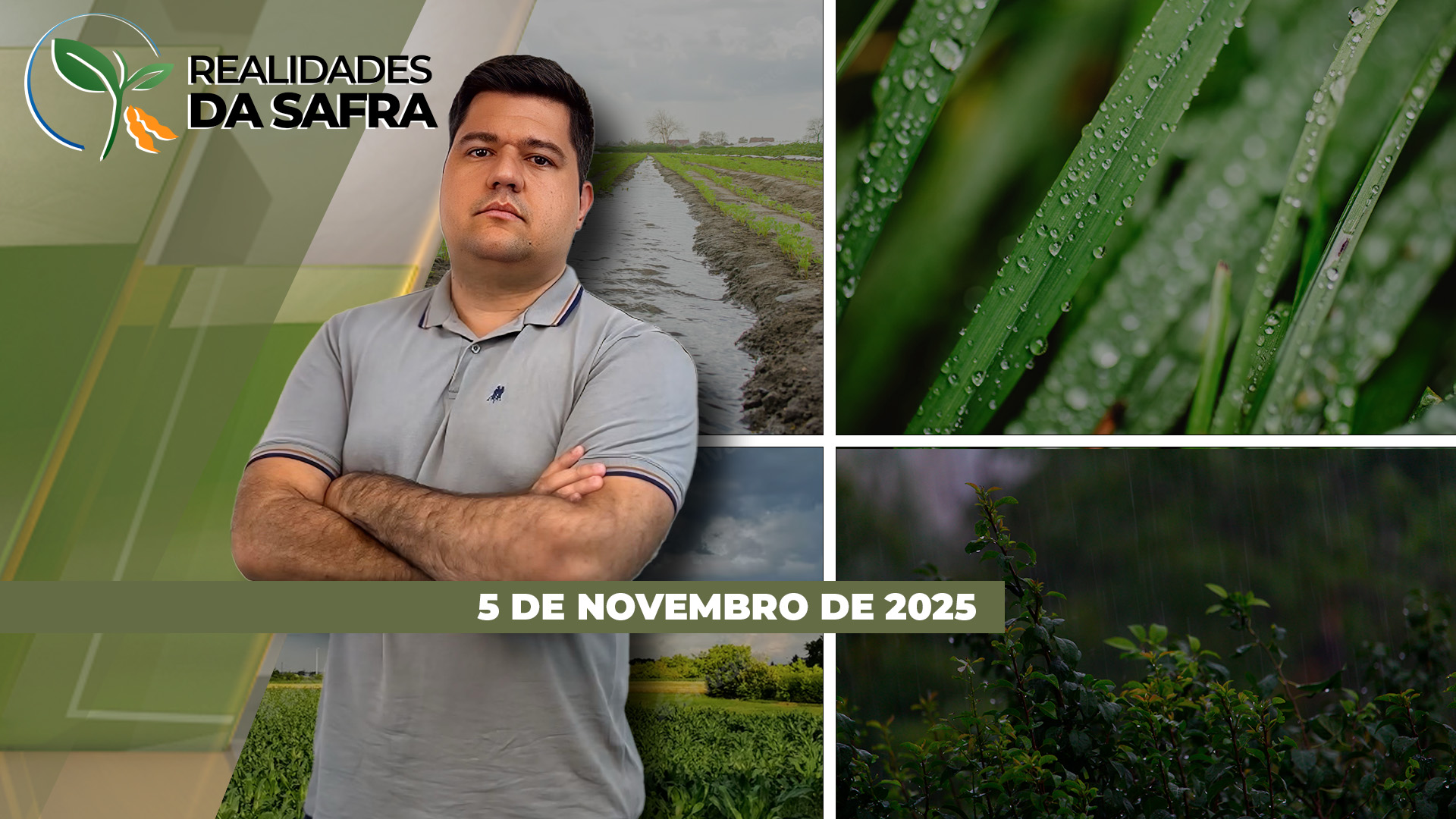 Produtores do Paraná seguem contabilizando perdas após fortes chuvas do final de semana