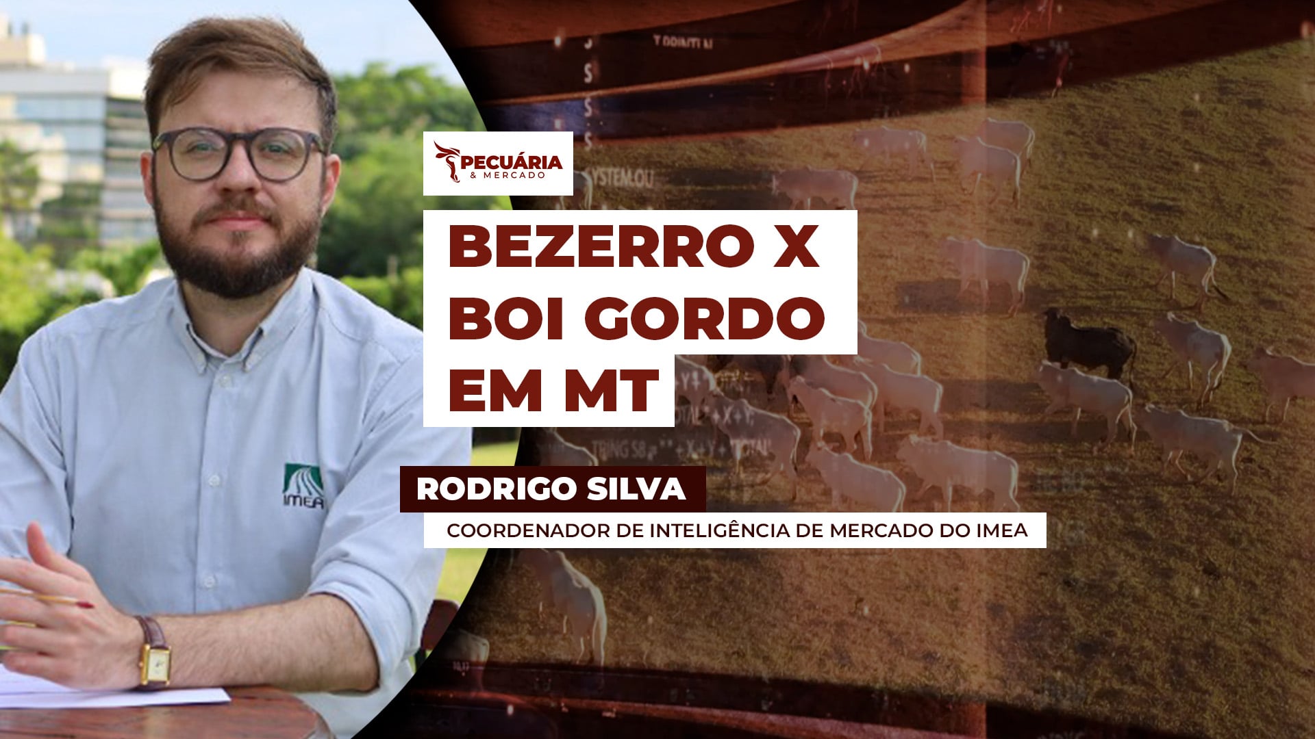 Bezerro sobe mais de 20% em doze meses enquanto boi gordo registra alta de 11% no mesmo período em MT