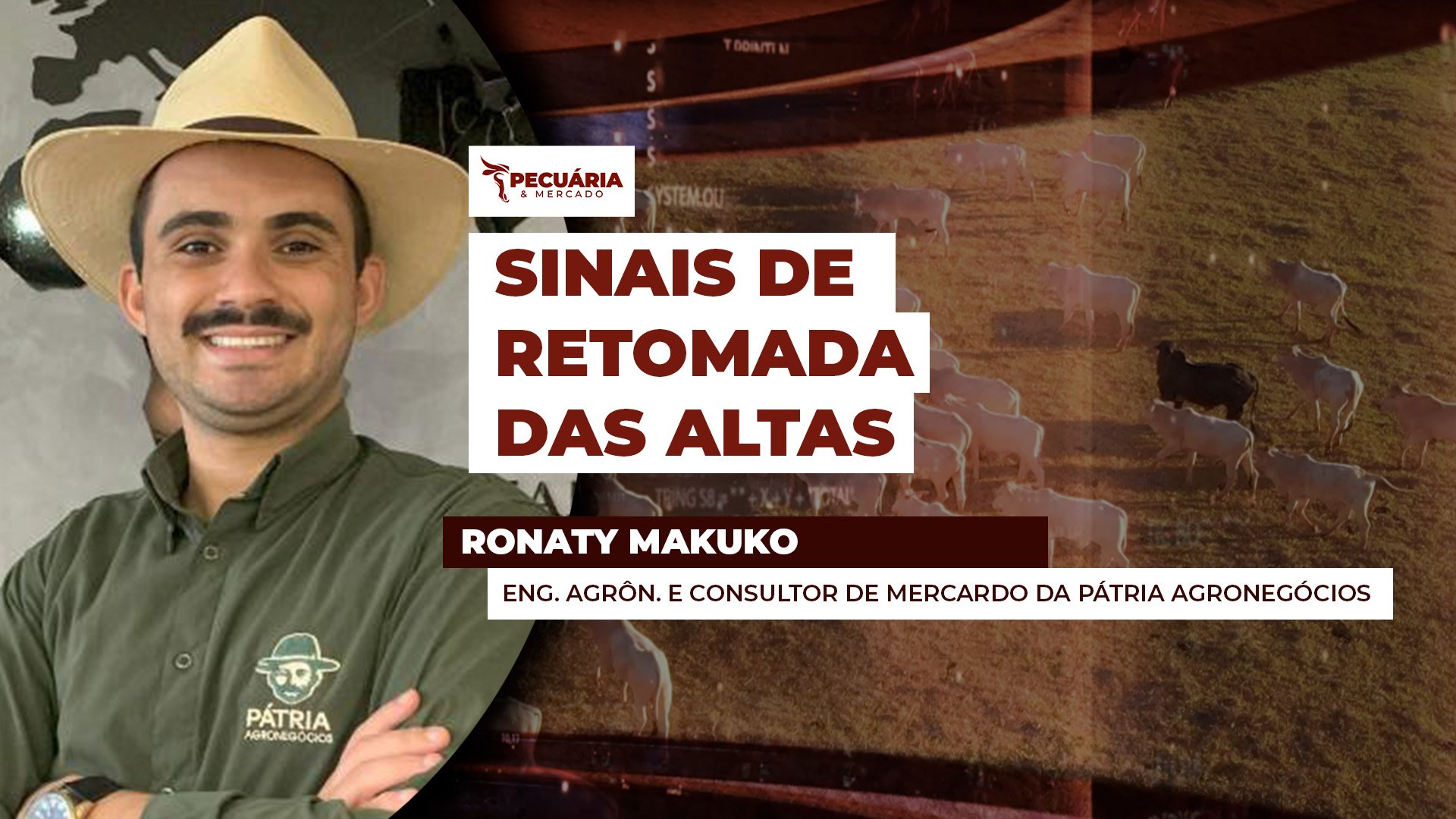 Escalas de abate recuam e reposição sobe, combustível para alta da arroba