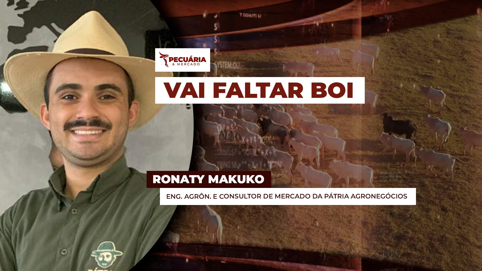 Vai faltar boi pronto para abate no Brasil entre agosto e setembro , alerta analista