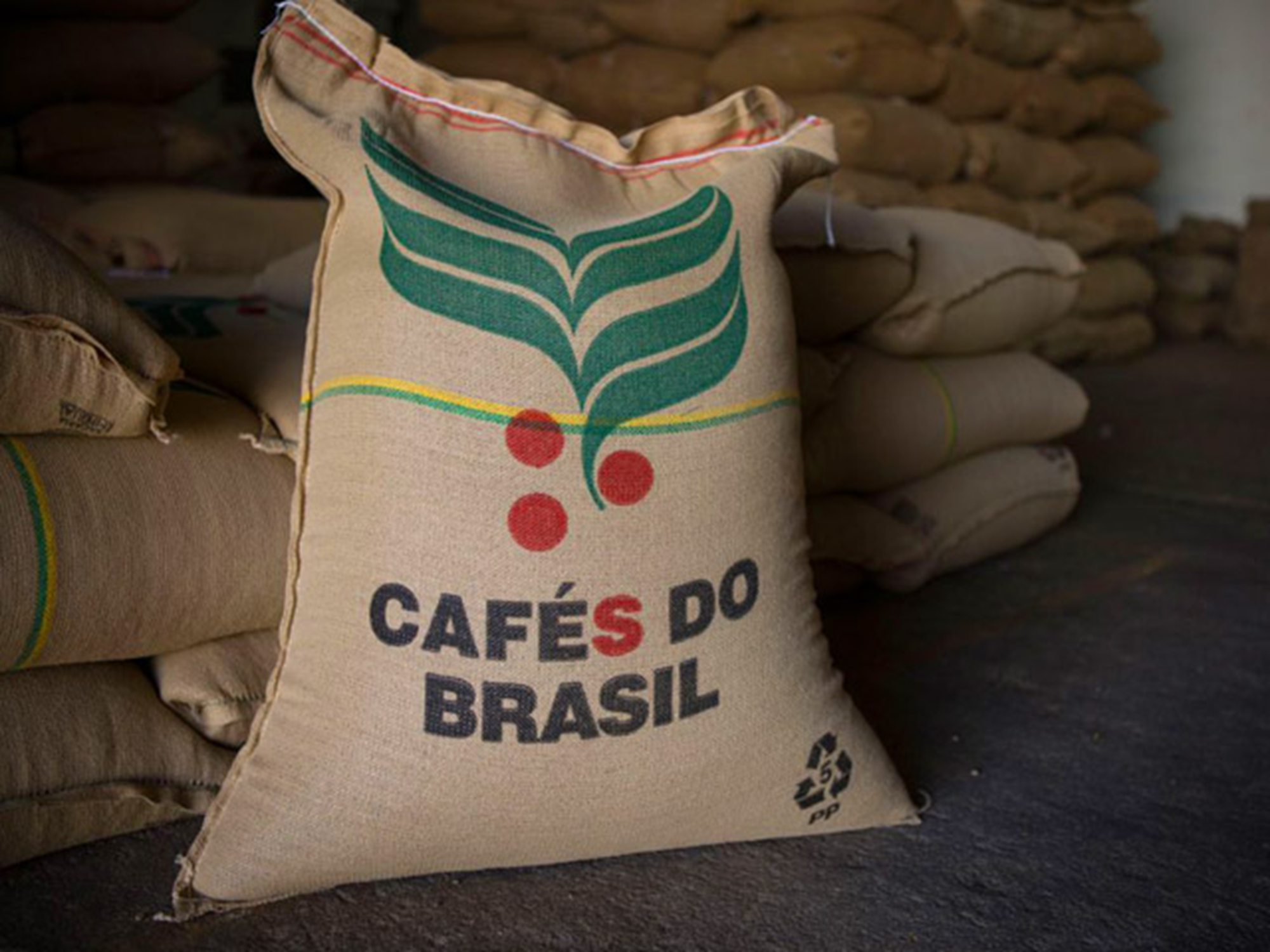 Café encerra sessão desta quinta-feira em forte queda com pressão da colheita brasileira