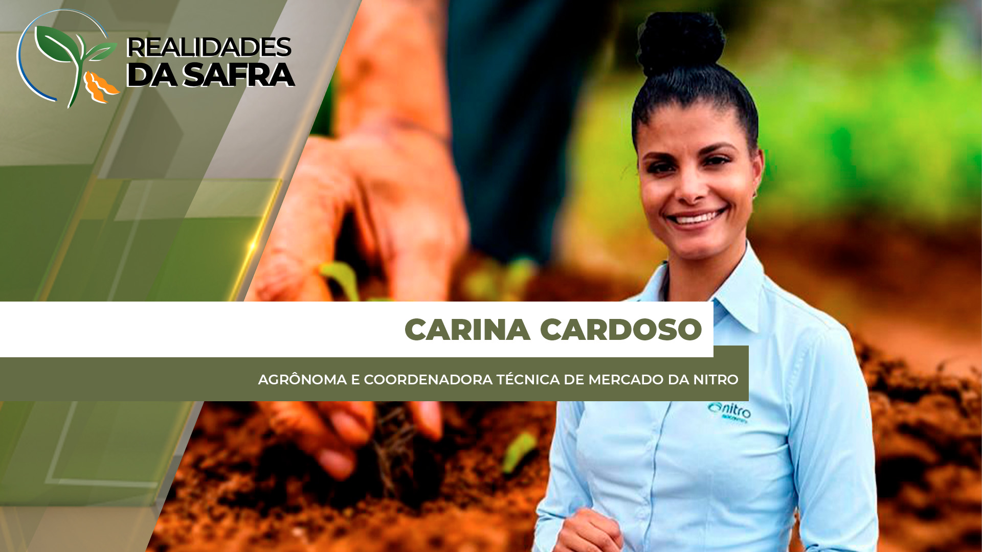 Manejo de pragas e doenças na fase inicial é decisivo para o sucesso da nova safra de soja e milho