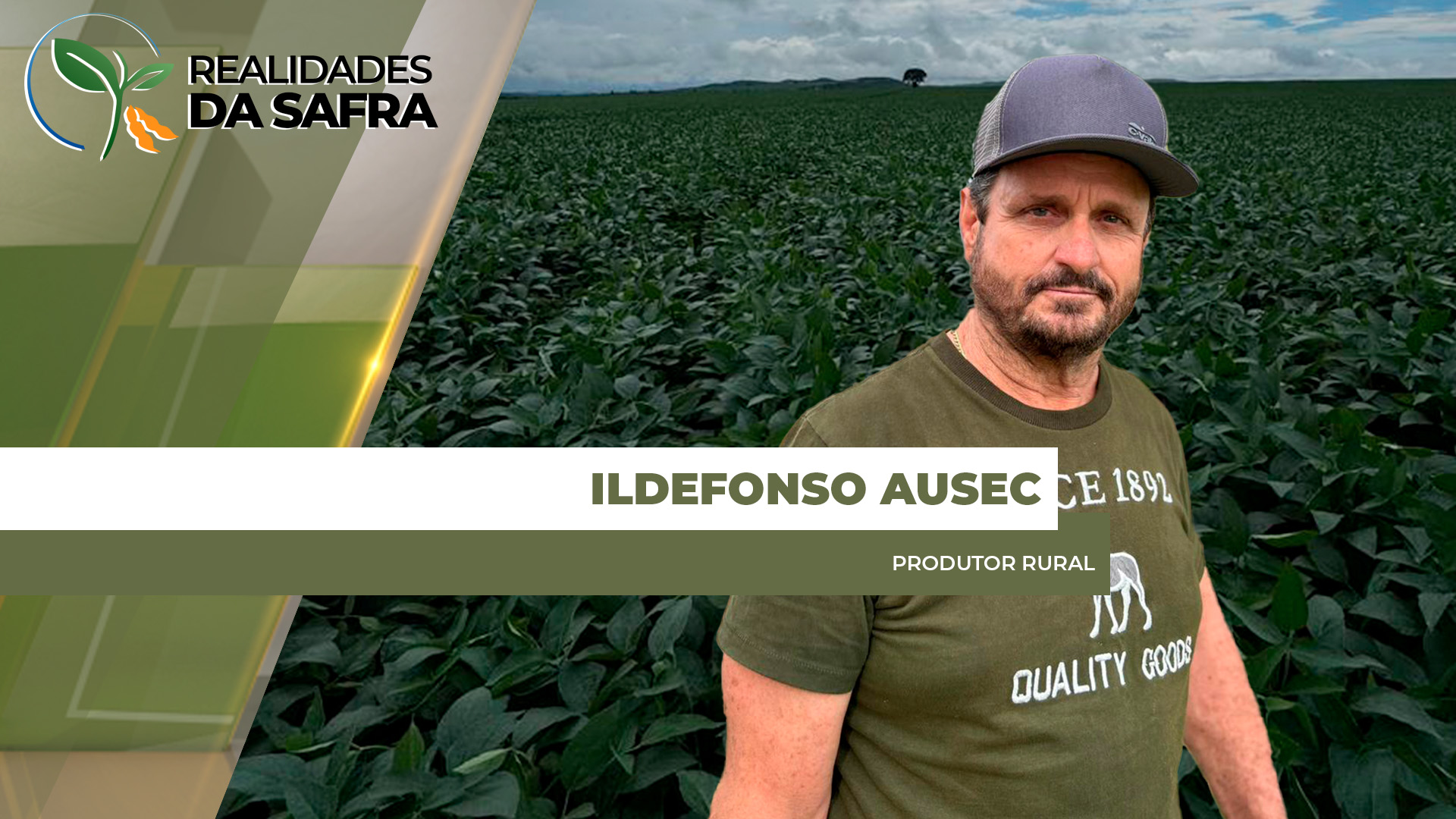 Problemas na germinação da soja preocupa produtores rurais em Doutor Camargo/PR