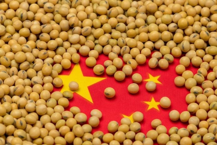 Guerra Comercial 2.0: Trégua entre EUA e China e impactos no mercado de soja; confira análises da Hedgepoint Global Markes