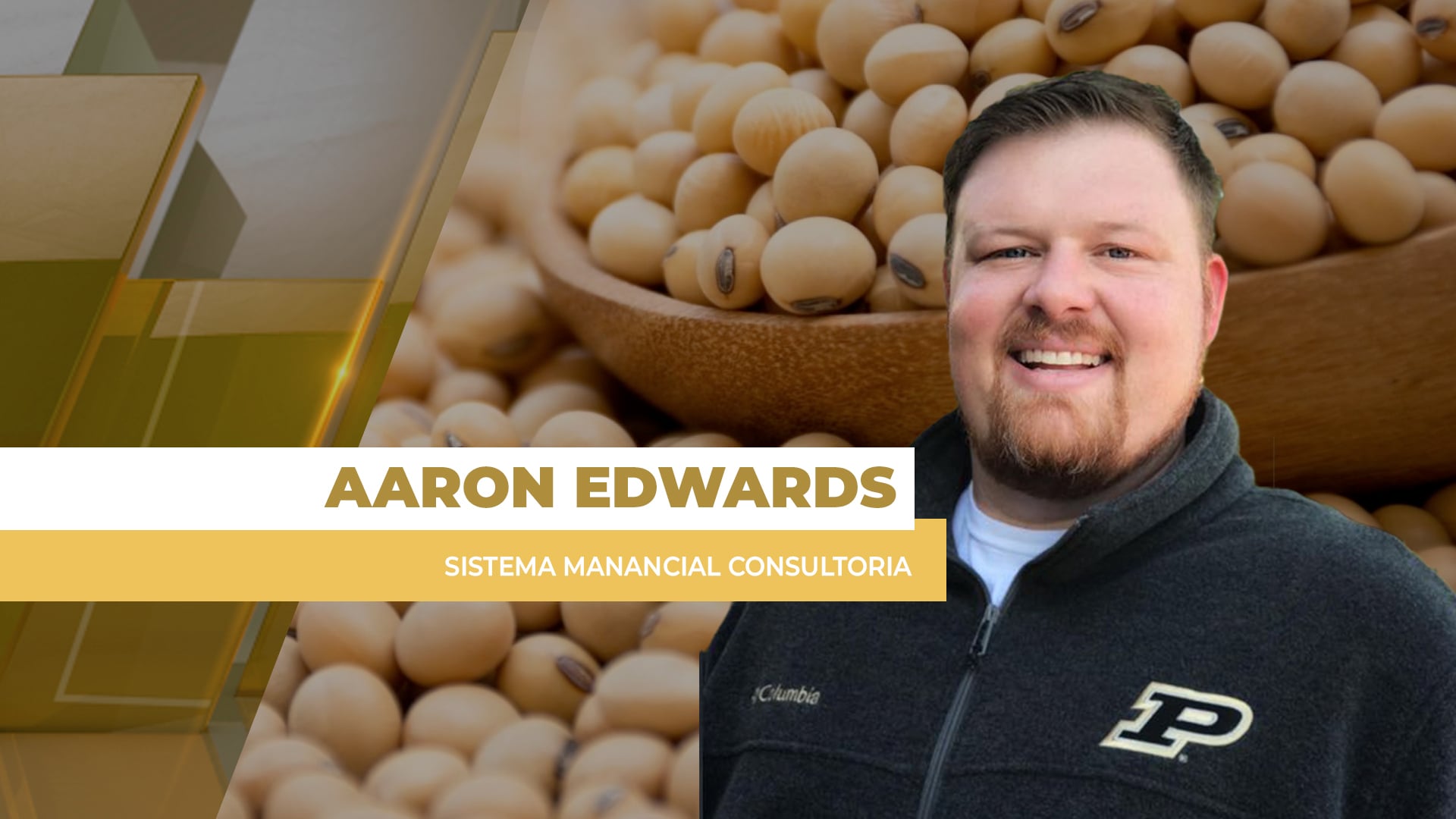 Lentidão da colheita e problemas de qualidade no Brasil ajudam a sustentar cotações da soja em Chicago