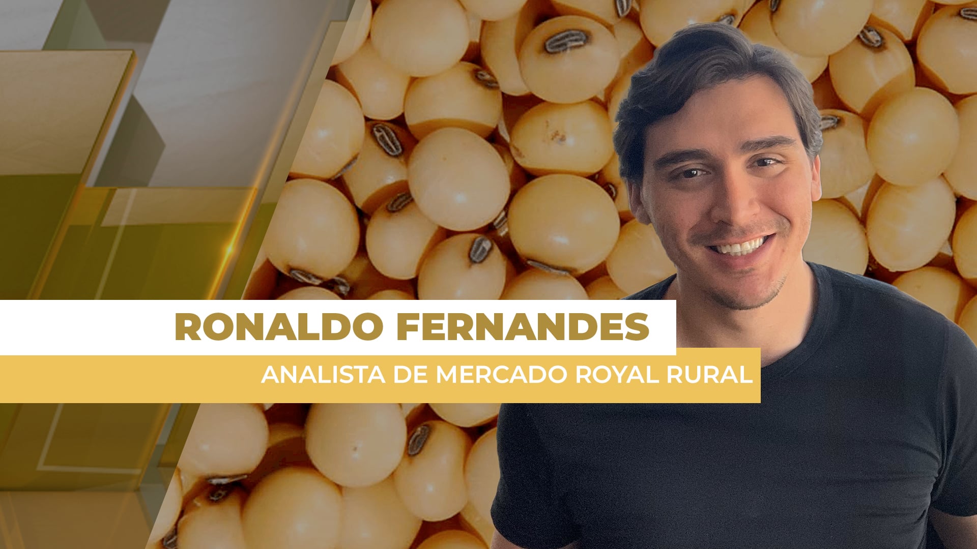 Soja intensifica baixas em Chicago, fecha com mais de 1% de queda e janeiro abaixo dos US$ 11 Soja intensifica baixas em Chicago, fecha com mais de 1% de queda e janeiro abaixo dos US$ 11