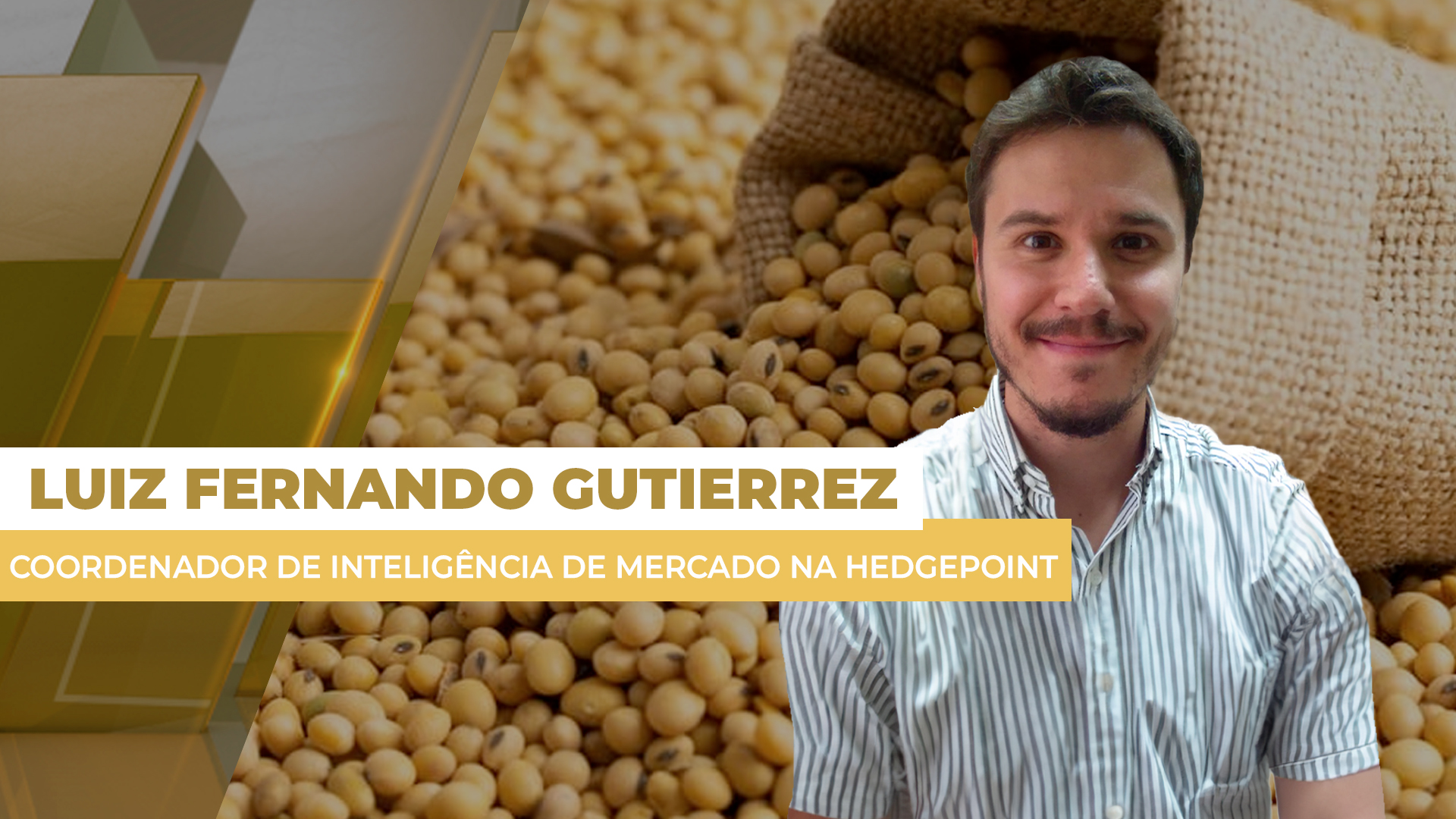 Soja tem dia de perdas intensas em Chicago, mas prêmios e dólar valorizados seguram preços no Brasil