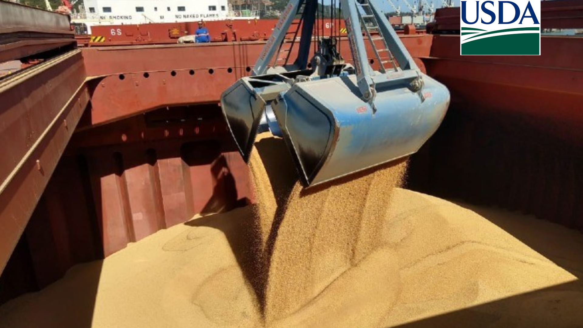 USDA traz embarques semanais de soja acima das expectativas do mercado