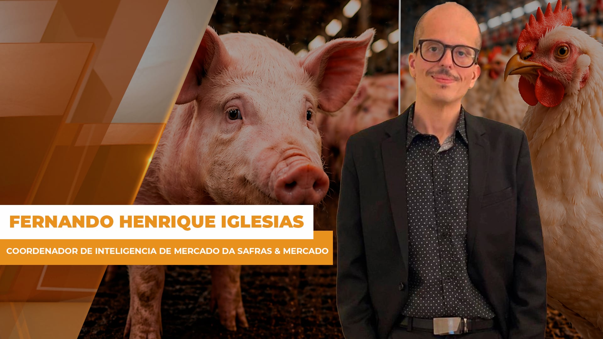 Suínos seguem em queda e frango tenta equilíbrio com exportações