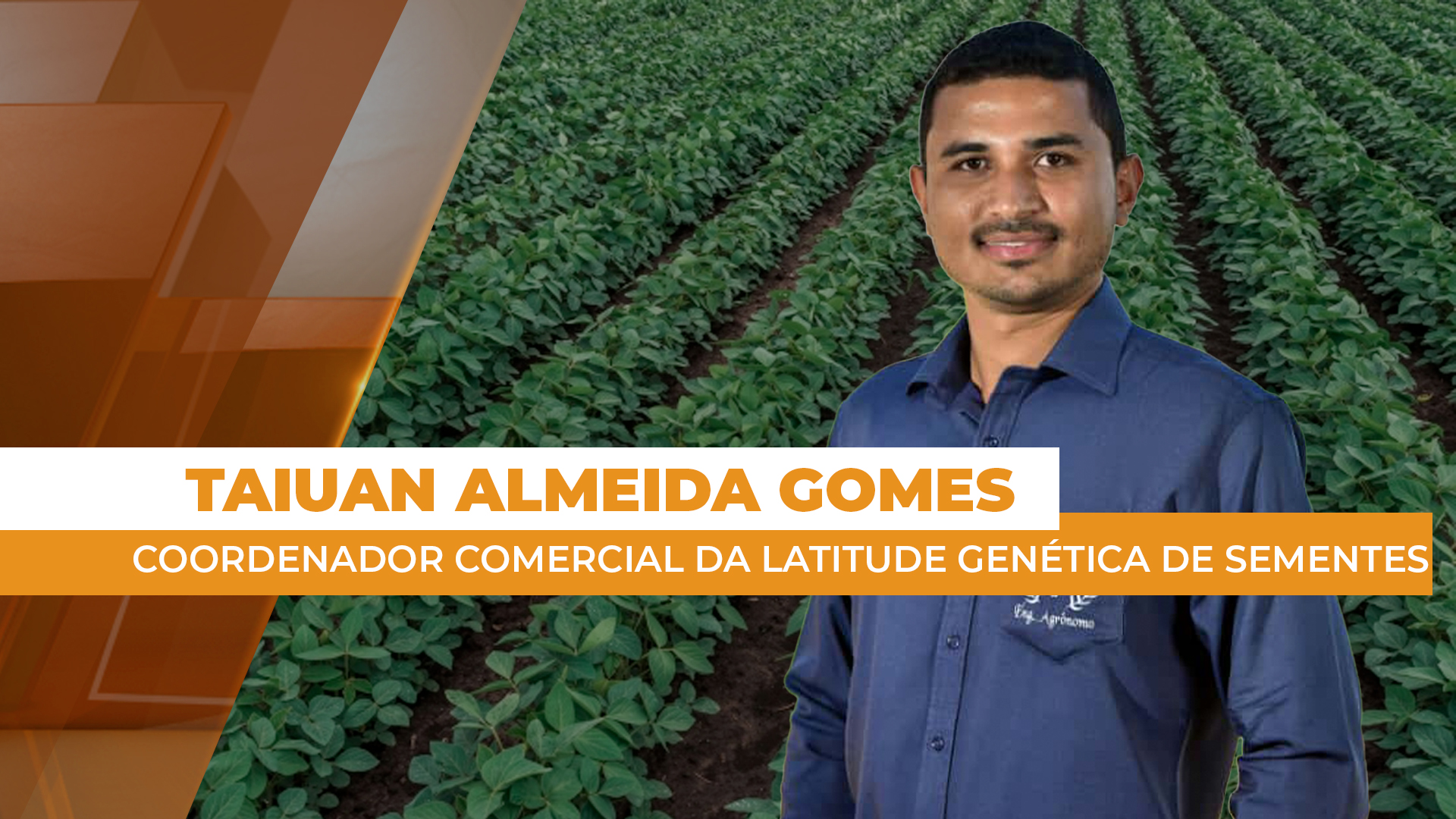 Novas tecnologias e pesquisas em genética auxiliam o desenvolvimento de variedades agrícolas mais resistentes