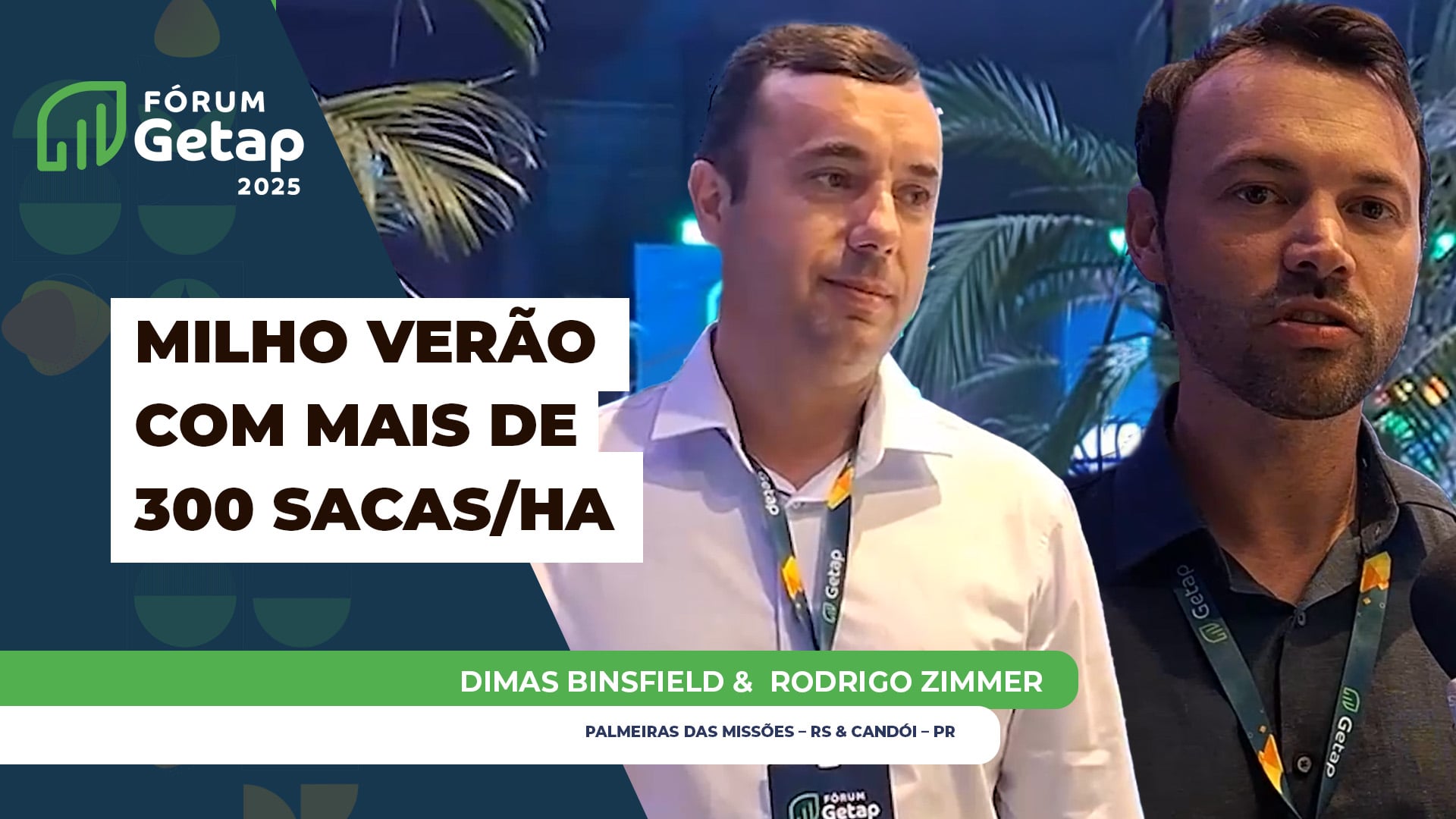 Campeões de produtividade de milho verão do Getap são do Sul do Brasil e alcançaram mais de 330 sacas por hectare