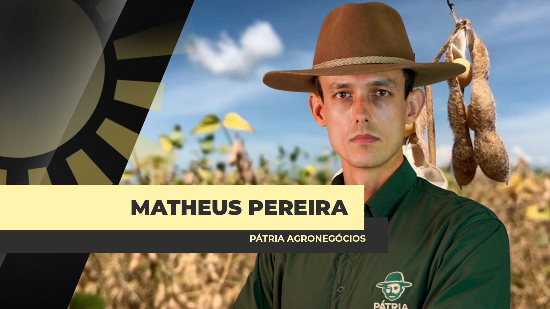 Mercado da soja tende a reagir até o final desta ano de 2025 em função do câmbio, aponta Pátria Agronegócio