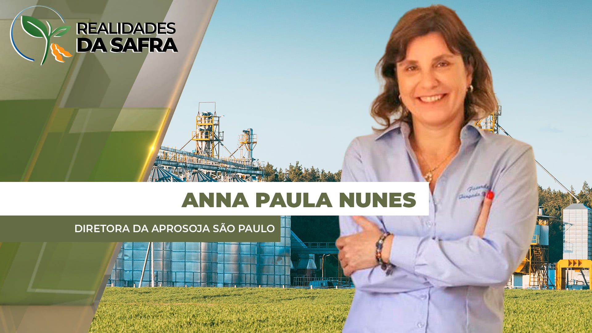 Em São Paulo, produtores optam pela redução de área destinada á safrinha em algumas regiões em função dos altos custos