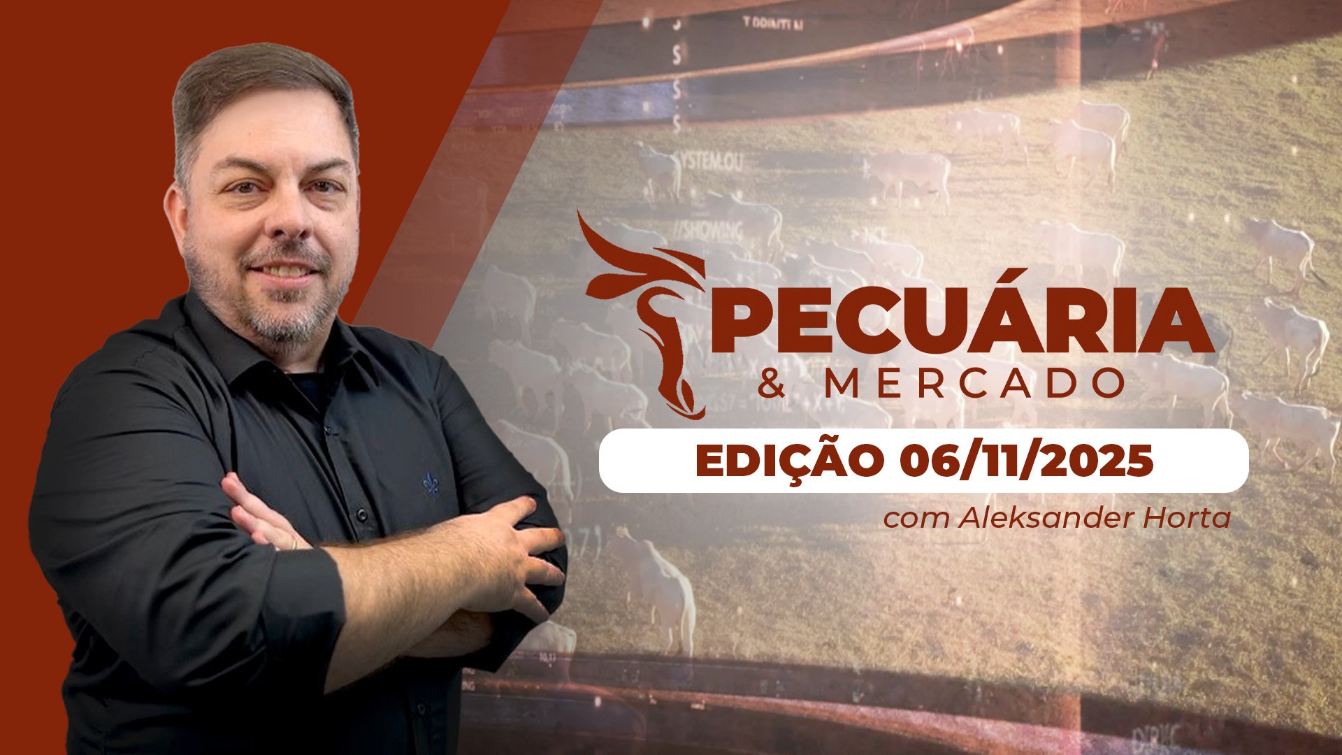 Mercado do boi evolui confirmando menor oferta de fêmeas além da demanda firme ado