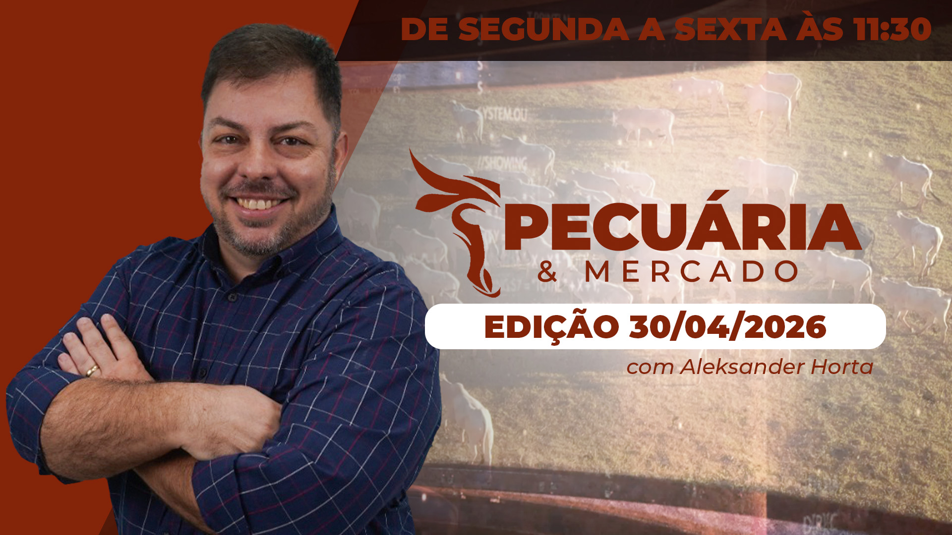 Concentração de oferta de animais favorece movimento de queda da arroba do boi