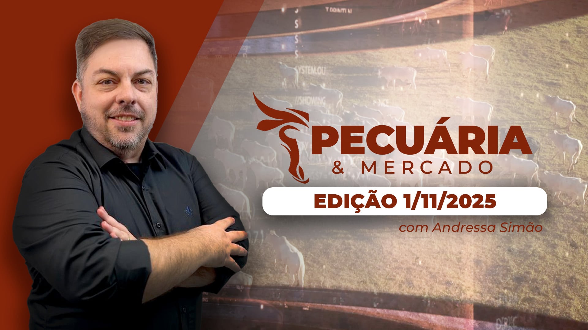 Pecuária e Mercado