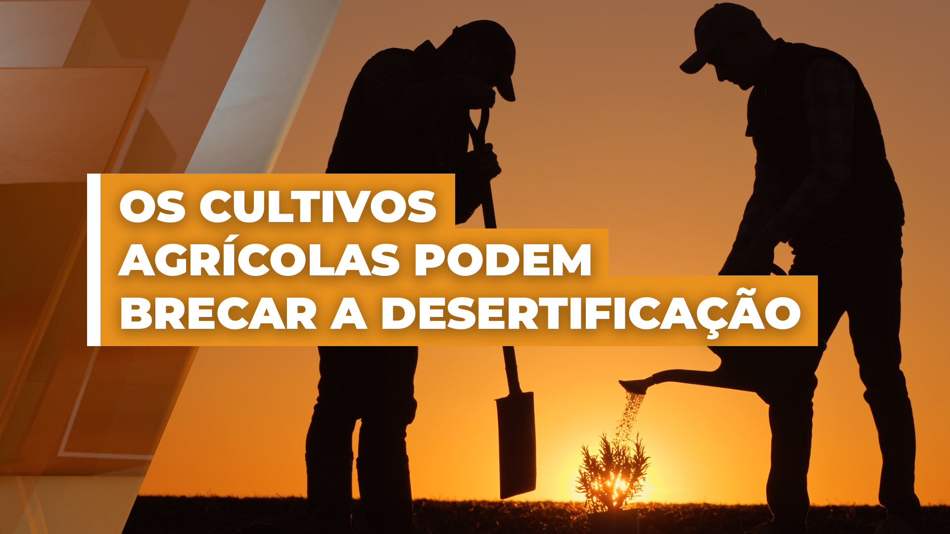 A caatinga está virando um deserto a solução é a agricultura