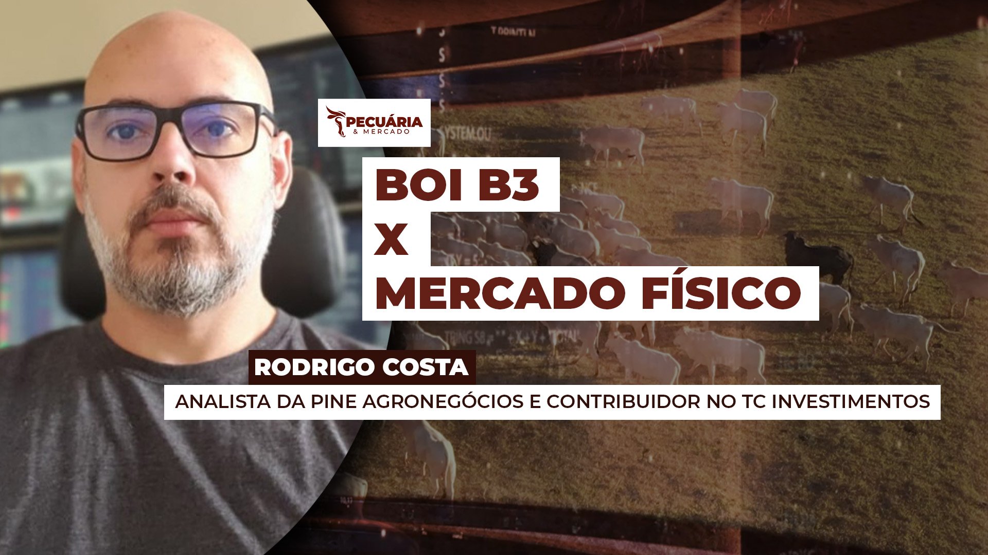 Queda forte da arroba na B3 não chega ao mercado físico, que tem cenário mais resiliente