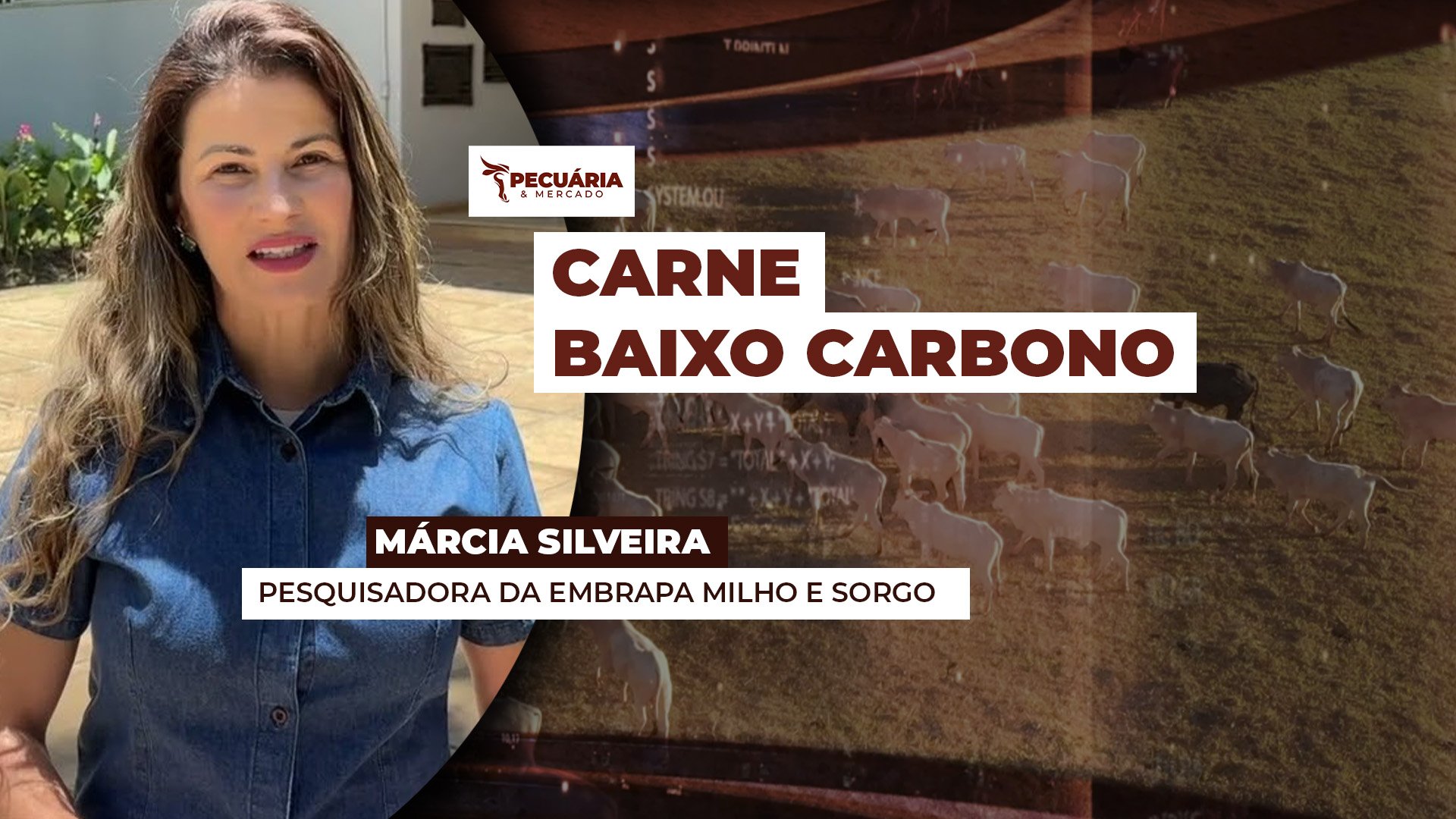 Embrapa vai apresentar protocolo para produção de carne de baixo carbono durante COP 30