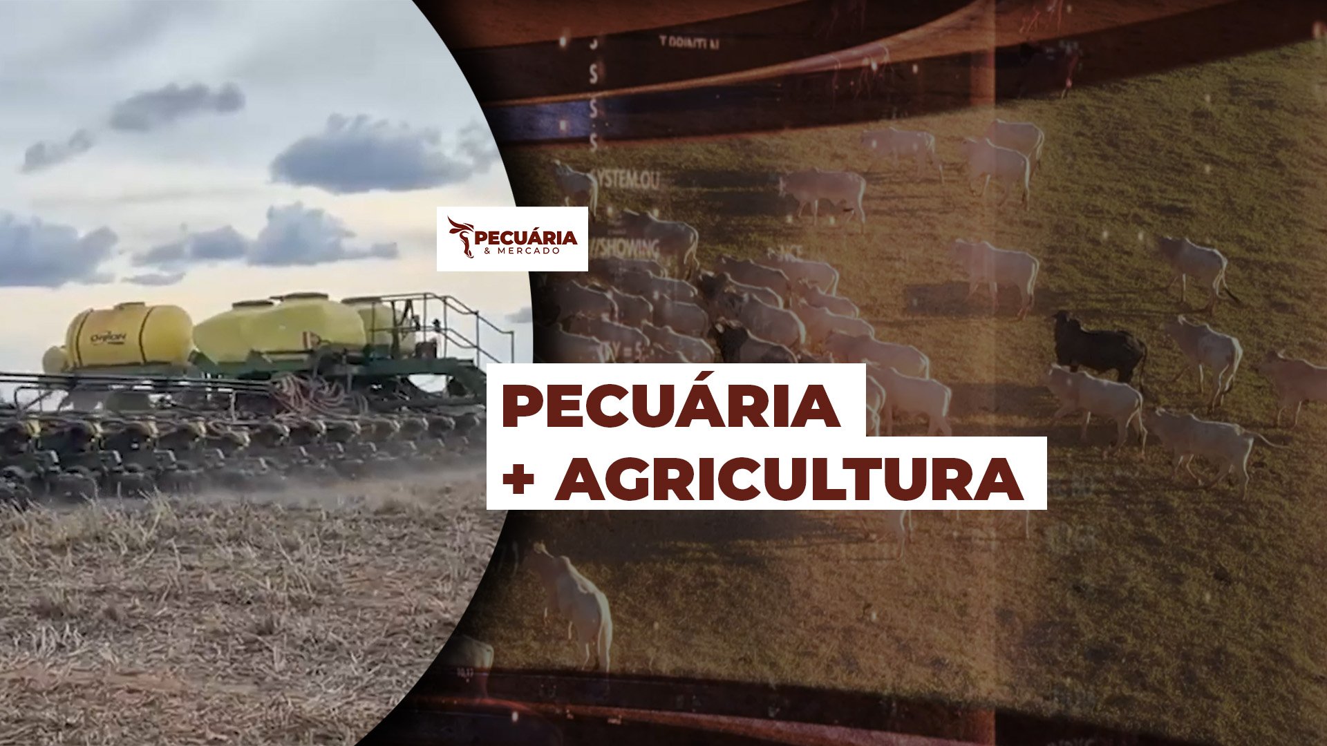 Fazenda Reunidas em MT investe R$120 milhões em ações para recuperação de pastagens degradadas