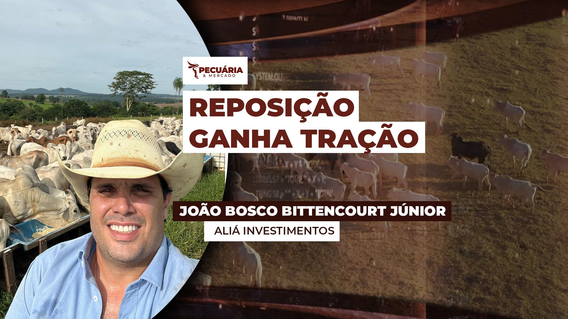 Preços da reposição avançam e pioram relação de troca com boi gordo