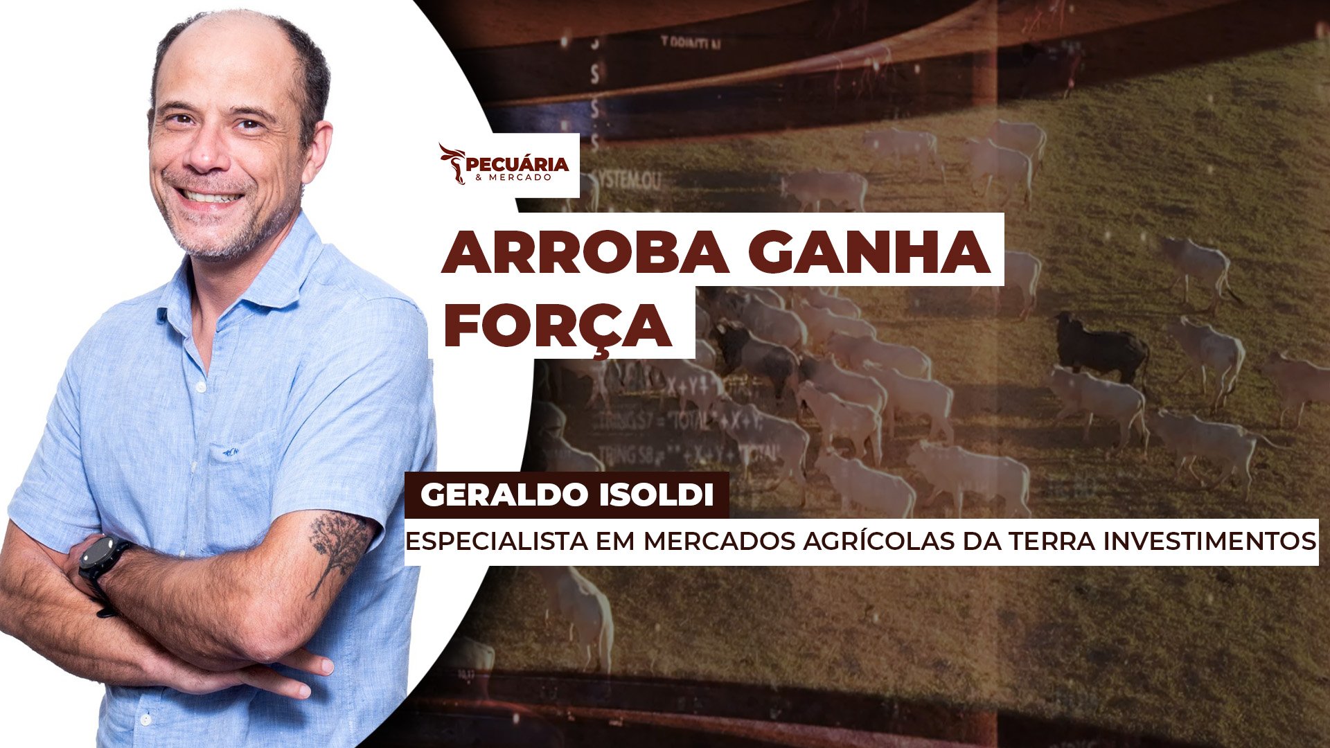 Arroba se recupera ao longo de outubro e mercado está pronto para voltar a subir