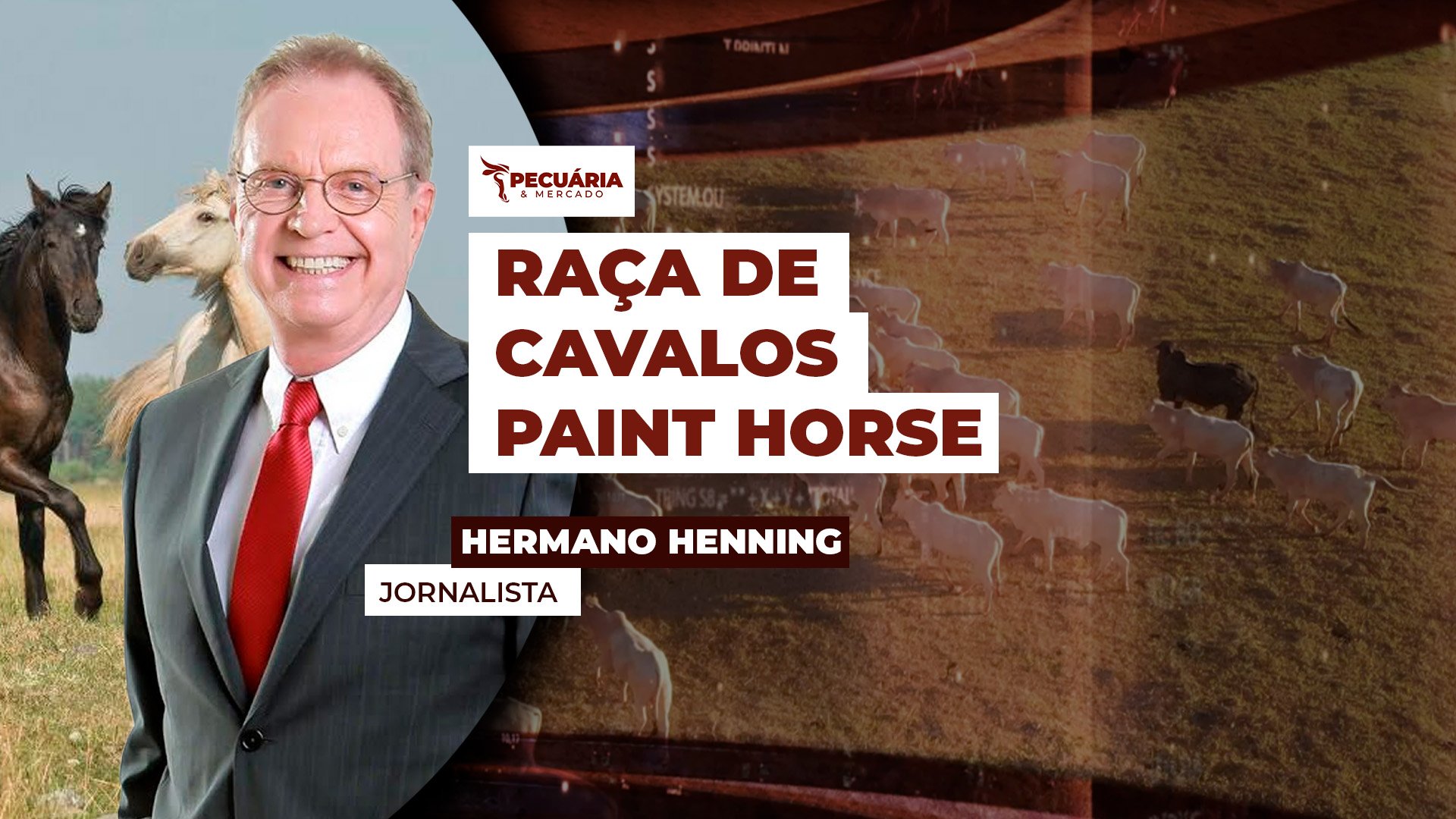 Raça de cavalos Paint Horse é derivada do Quarto de Milha