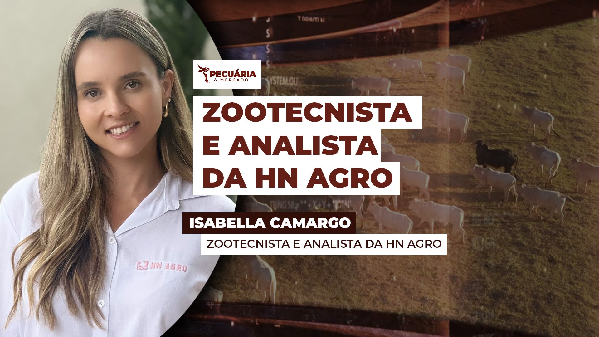 Disponibilidade de carne no mercado interno diminuiu nos últimos dois meses, apesar do maior abate de animais