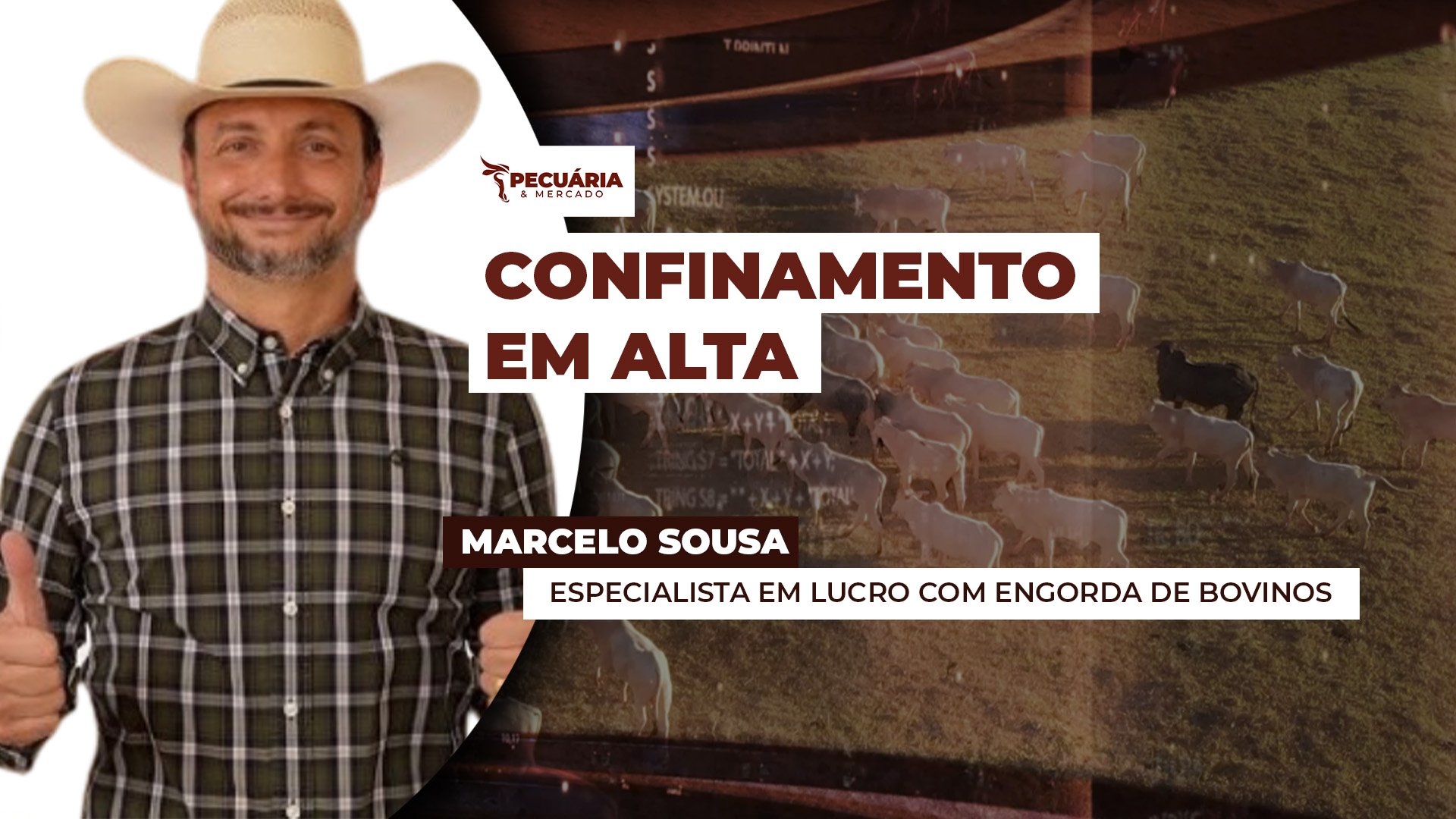 Especialista alerta para ajustes dentro e fora da porteira que podem tornar o confinamento mais eficiente