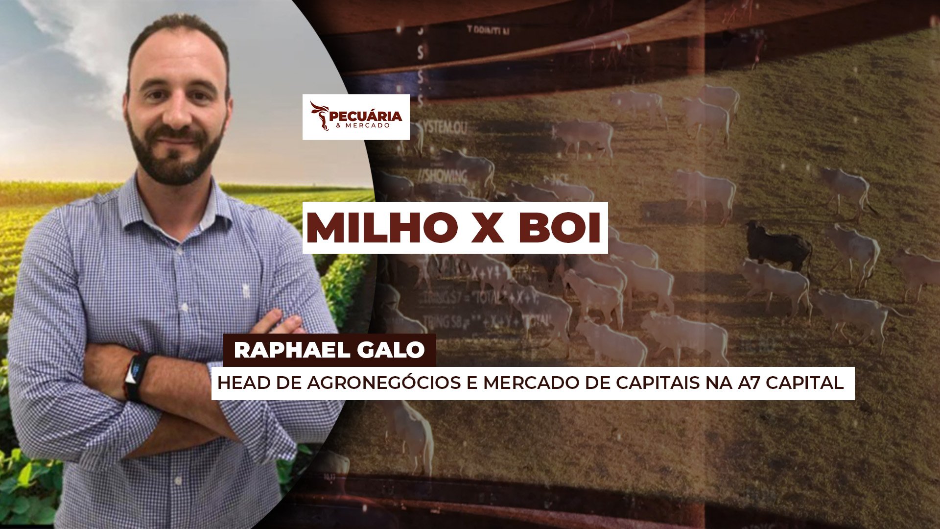 Cotação do milho na B3 sobe mais que a do boi gordo nos vencimentos mais curtos e sinaliza piora na relação de troca