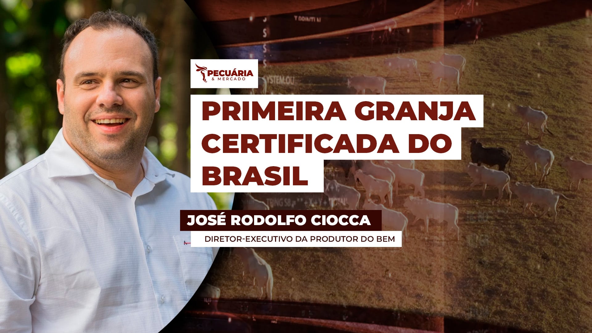 Granja mineira é a primeira do Brasil a alcançar certificação de alto nível em bem-estar animal