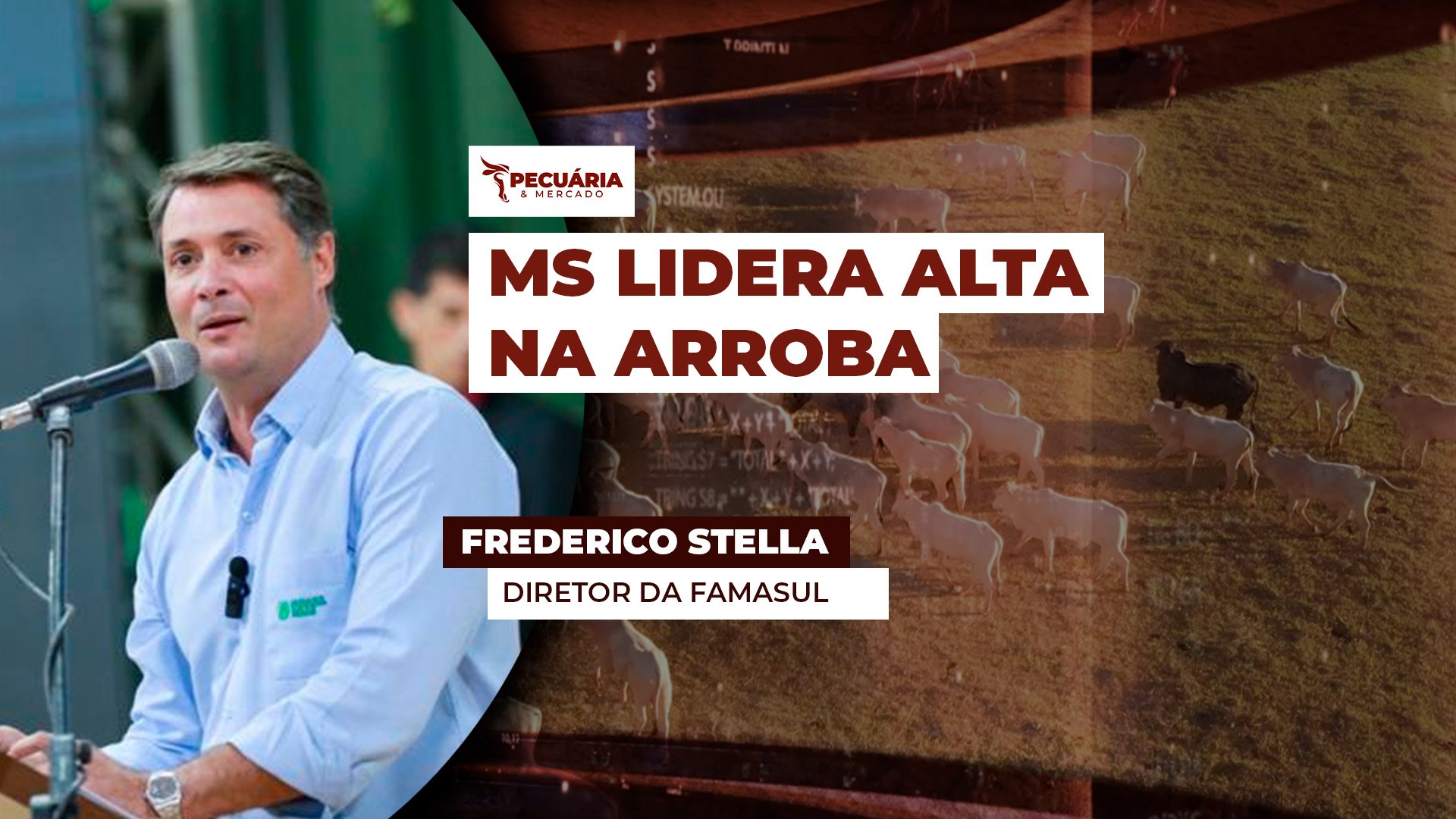 MS registra negócios de R$320 para arroba do boi e lidera movimento de alta, com preços acima de SP