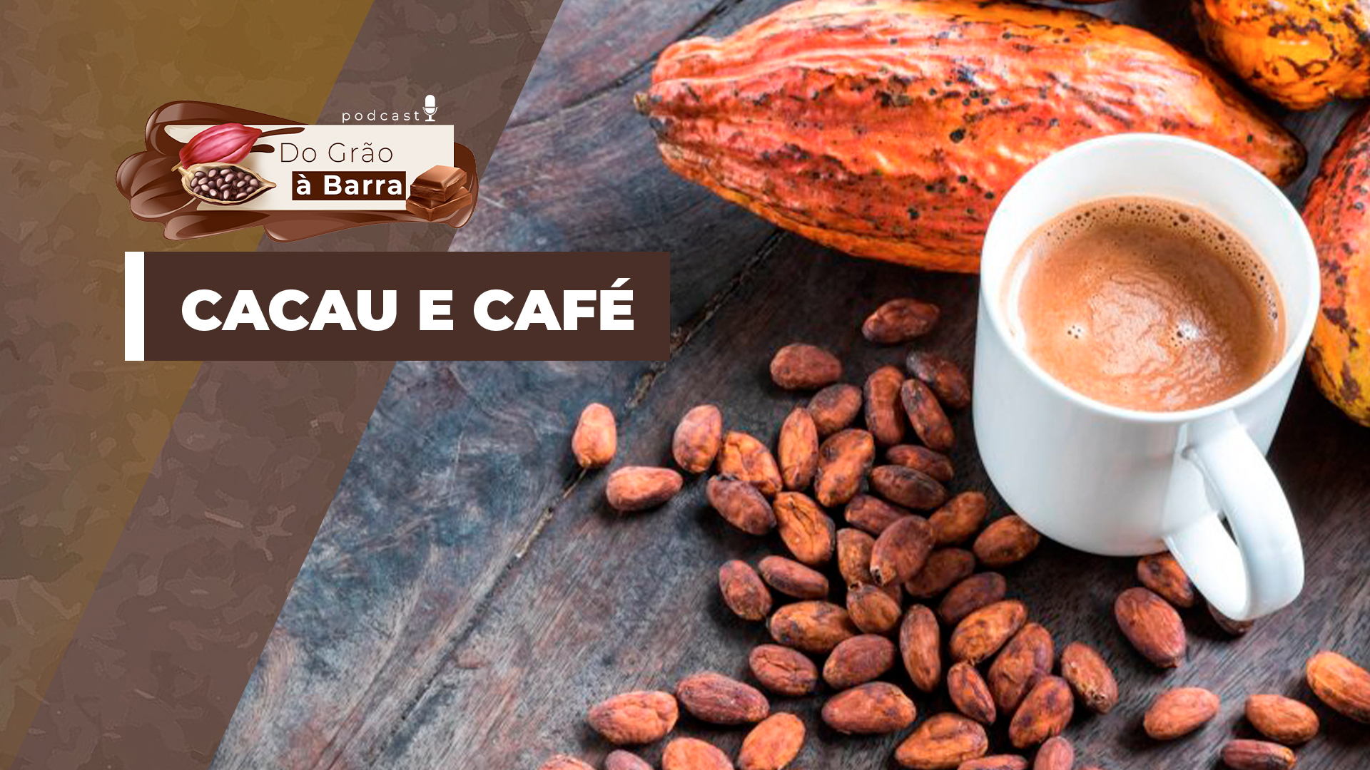 Cacau e Café: dois universos distintos que compartilham muito em comum