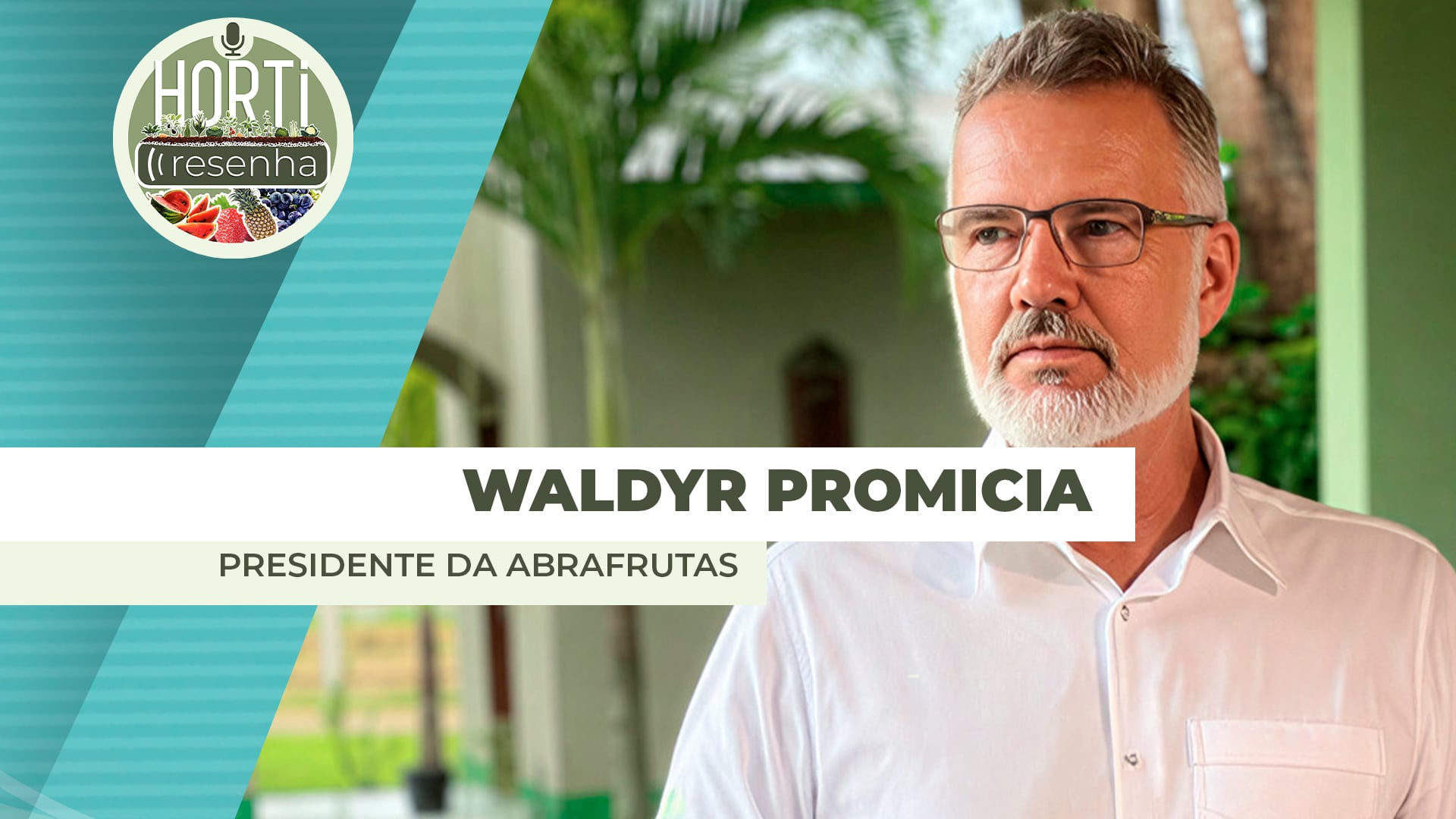 2026 será ano de desafios, mas também de oportunidades para as exportações de frutas