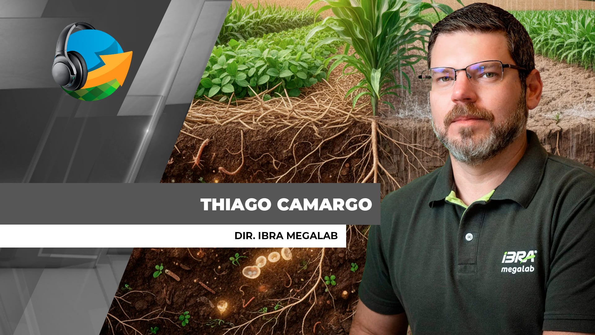Milhões de hectares ainda são manejados sem diagnóstico adequado do solo no Brasil