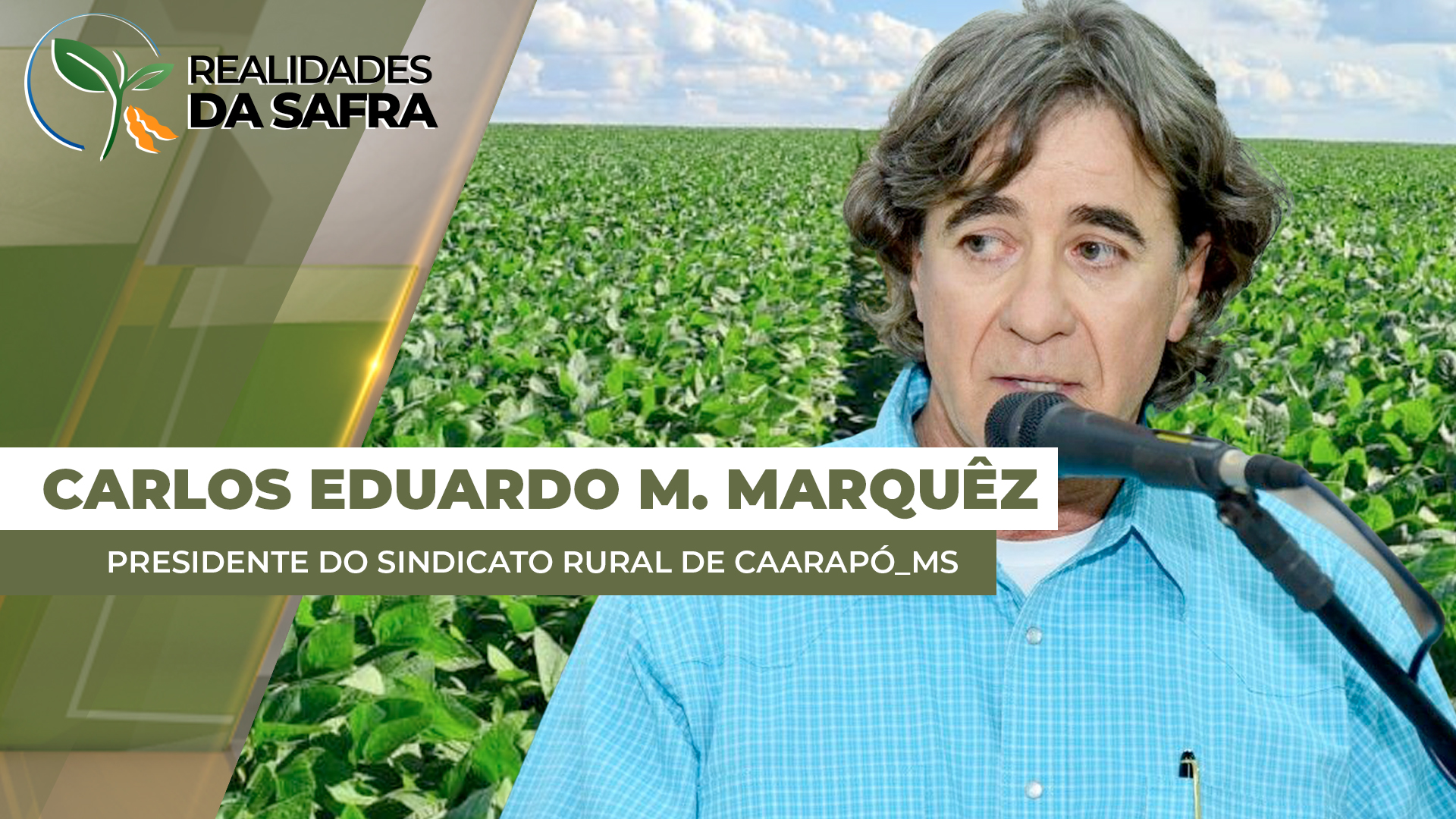 Caarapó/MS já plantou mais de 60% da safra de soja