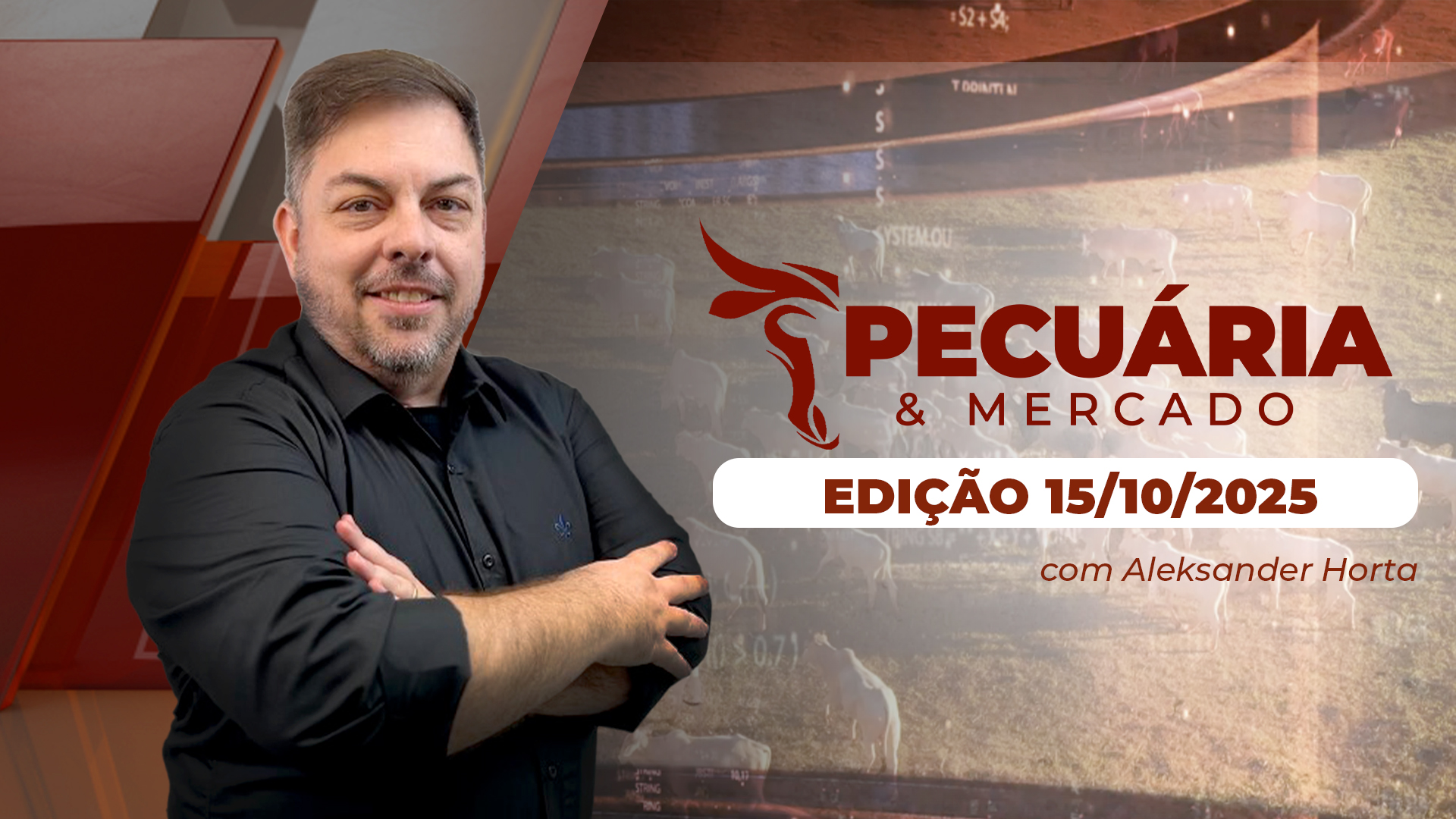 Mercado do boi está mais disputado em SP diante de uma oferta contida de animais; reação já começou em praças de MS e MT