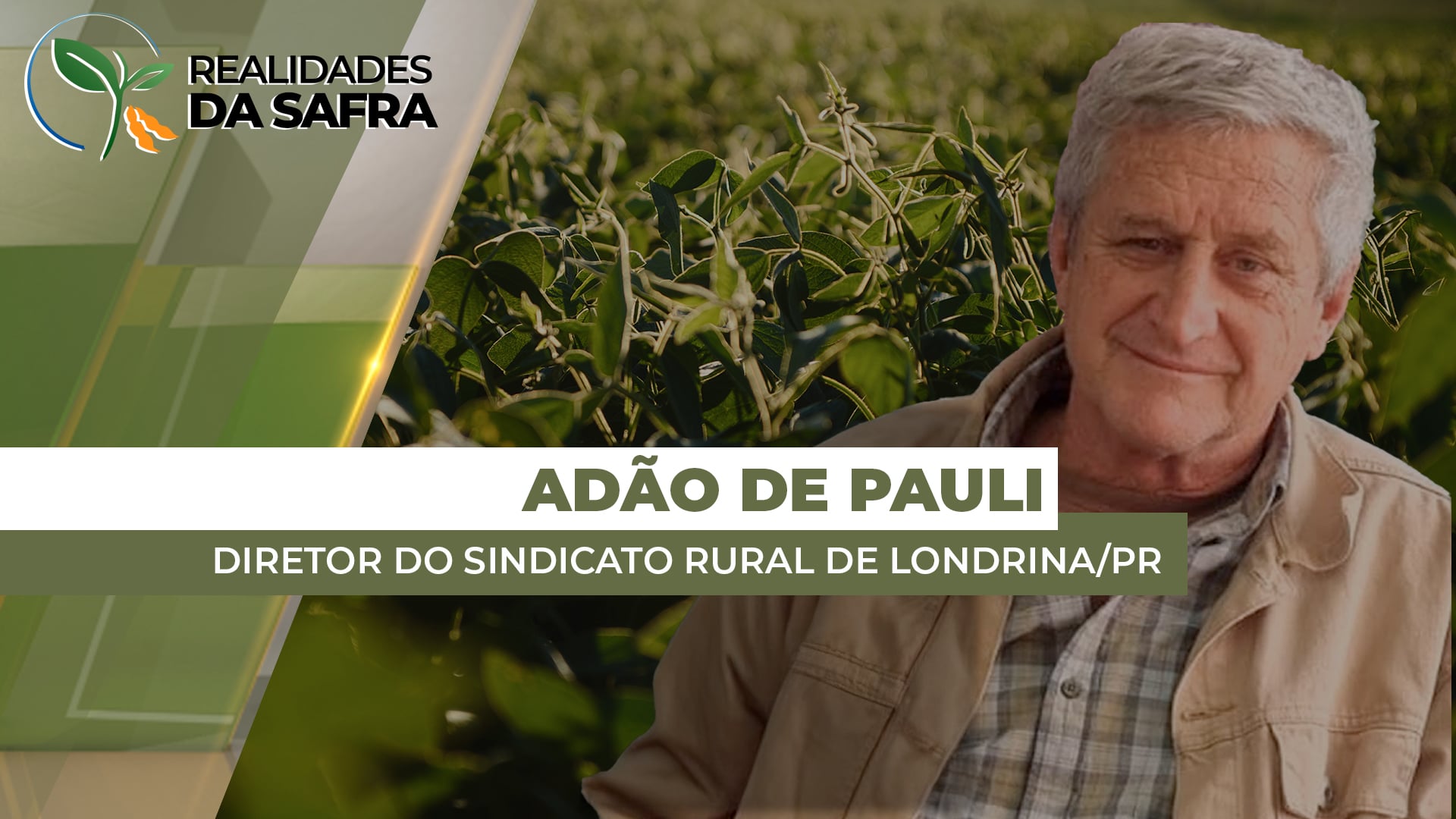 Momentos de muita chuva no começo da safra aumentaram pressão de doenças em Londrina/PR