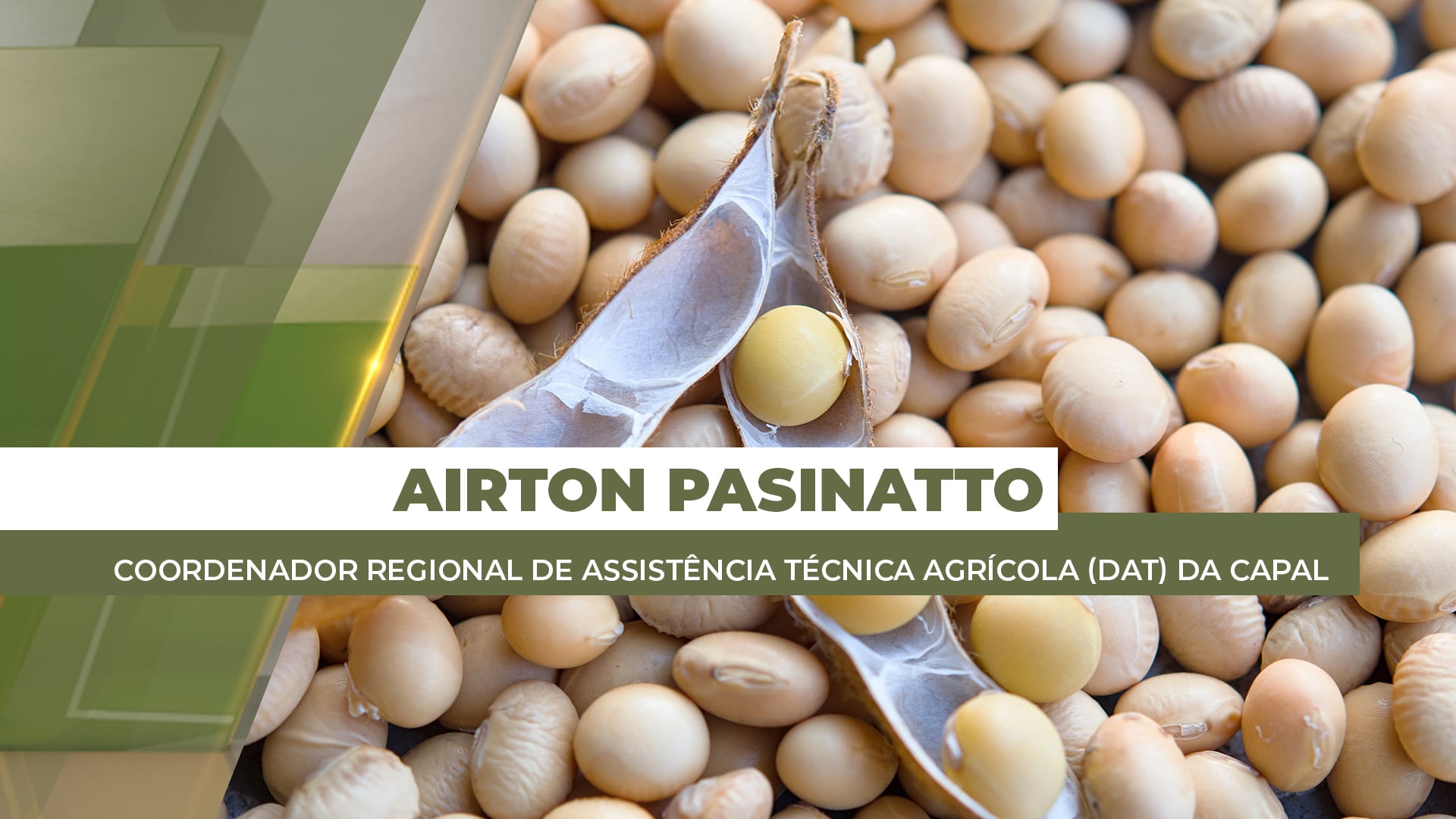 Colheita da soja na região da Capal se aproxima do fim e, no milho verão, chega a 70% da área com bons índices de produtividade