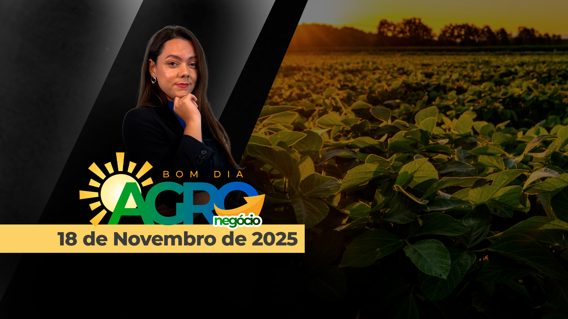 Bom dia Agronegócio - AO VIVO - TV Notícias Agrícolas