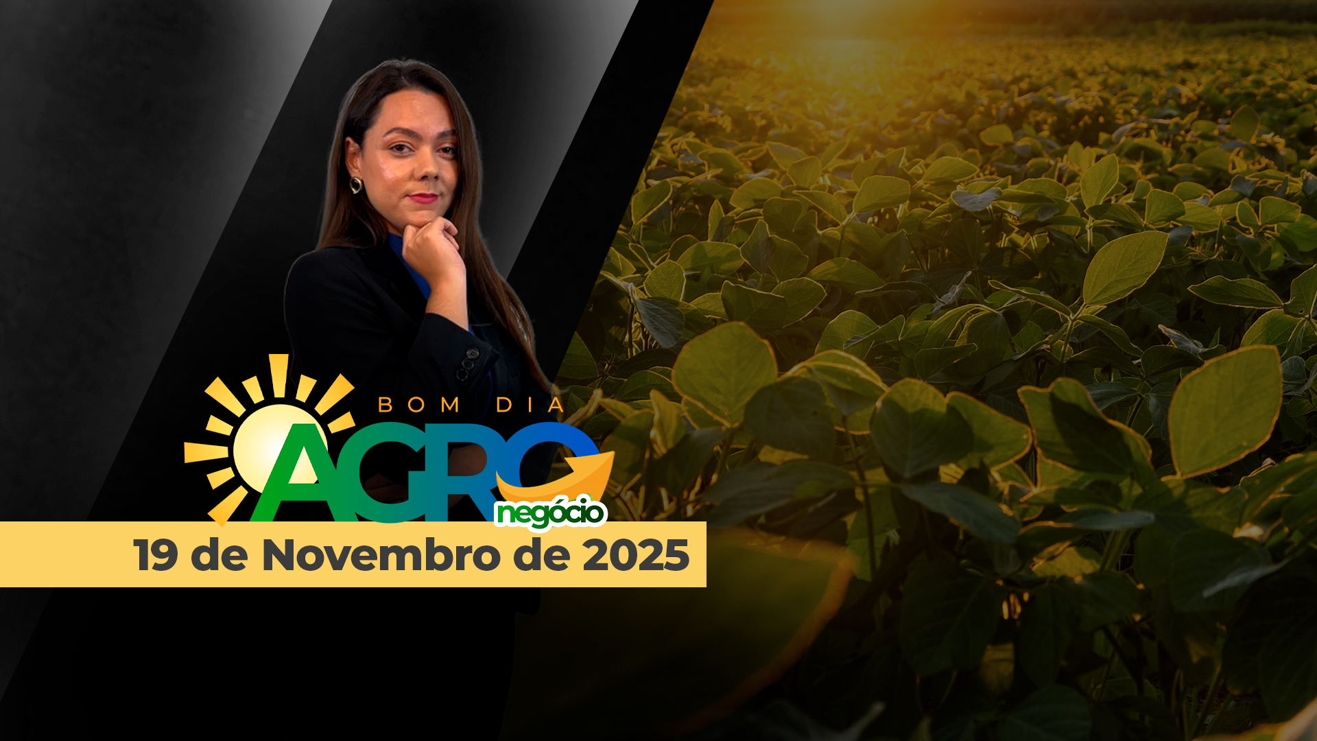 Bom dia Agronegócio - AO VIVO - TV Notícias Agrícolas