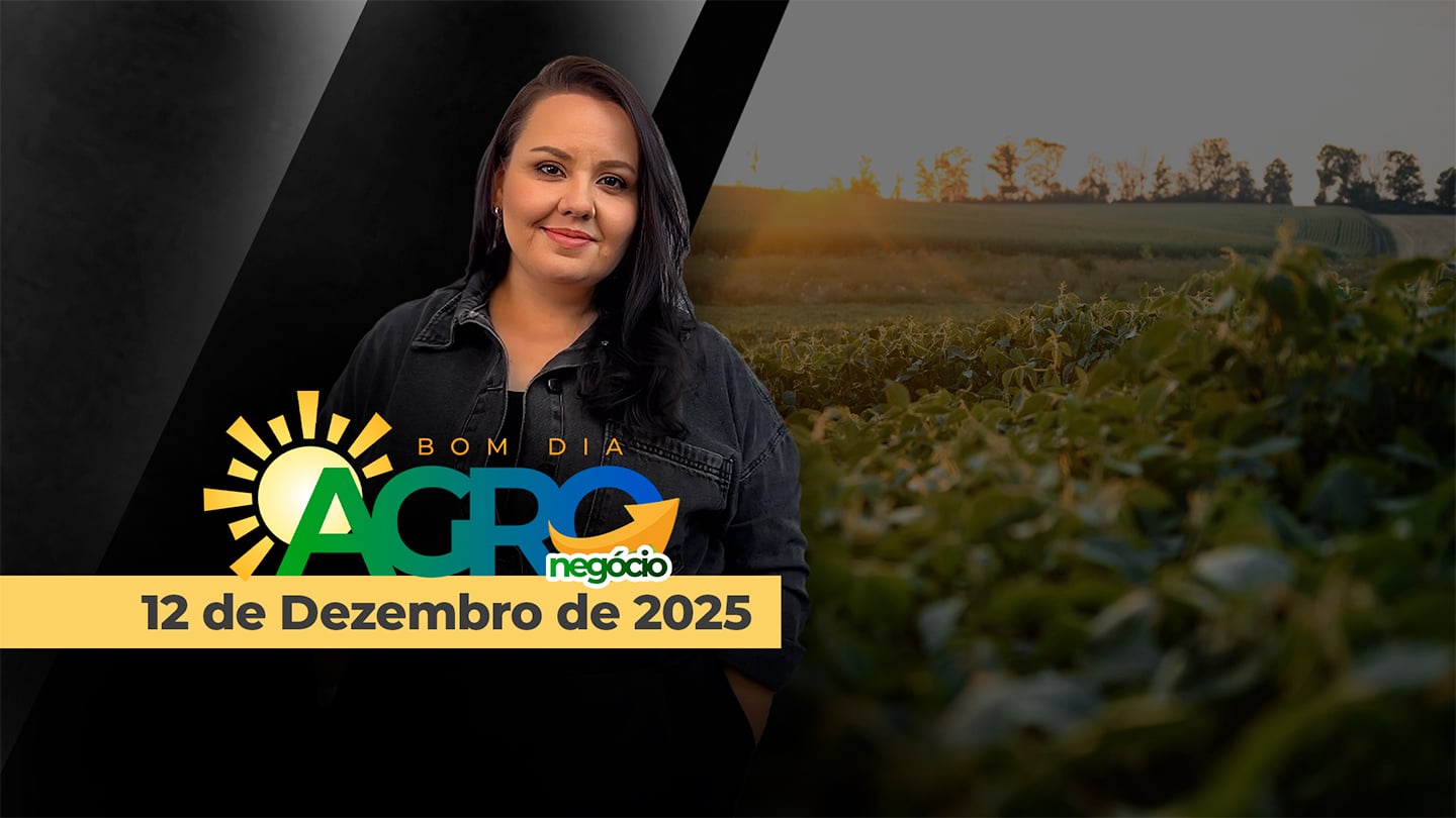 BOM DIA AGRONEGÓCIO - AO VIVO