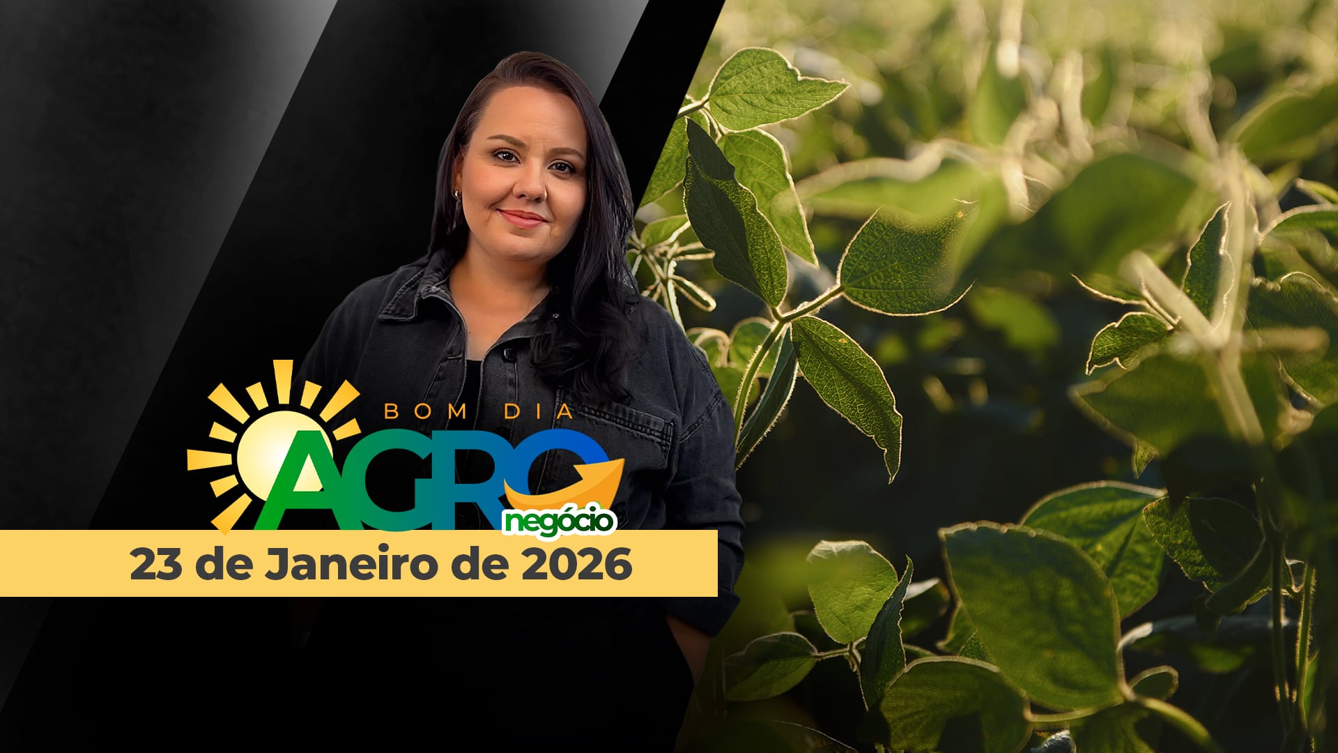 BOM DIA AGRONEGÓCIO - Fretes em alta pressionam ainda mais a soja no BR