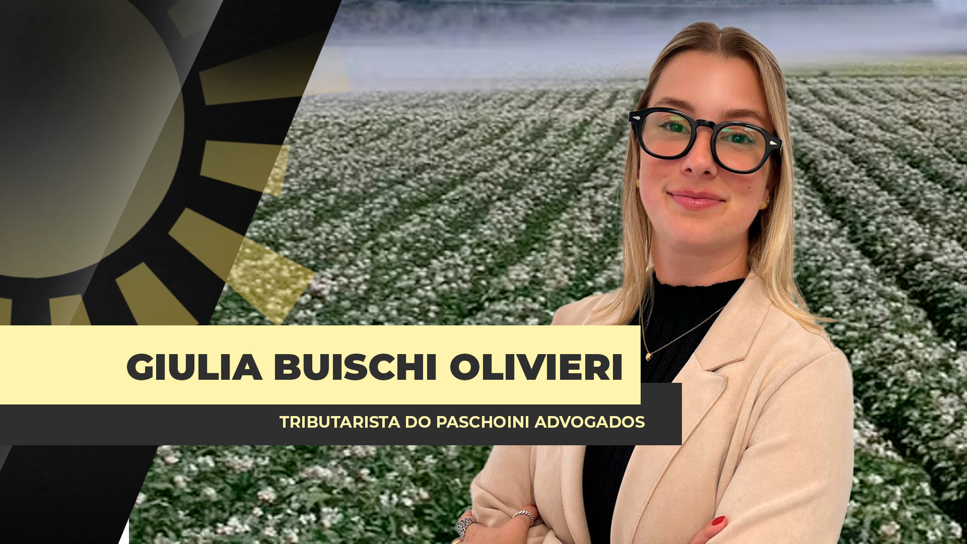 STF volta a pautar benefícios de ICMS a defensivos agrícolas em outubro