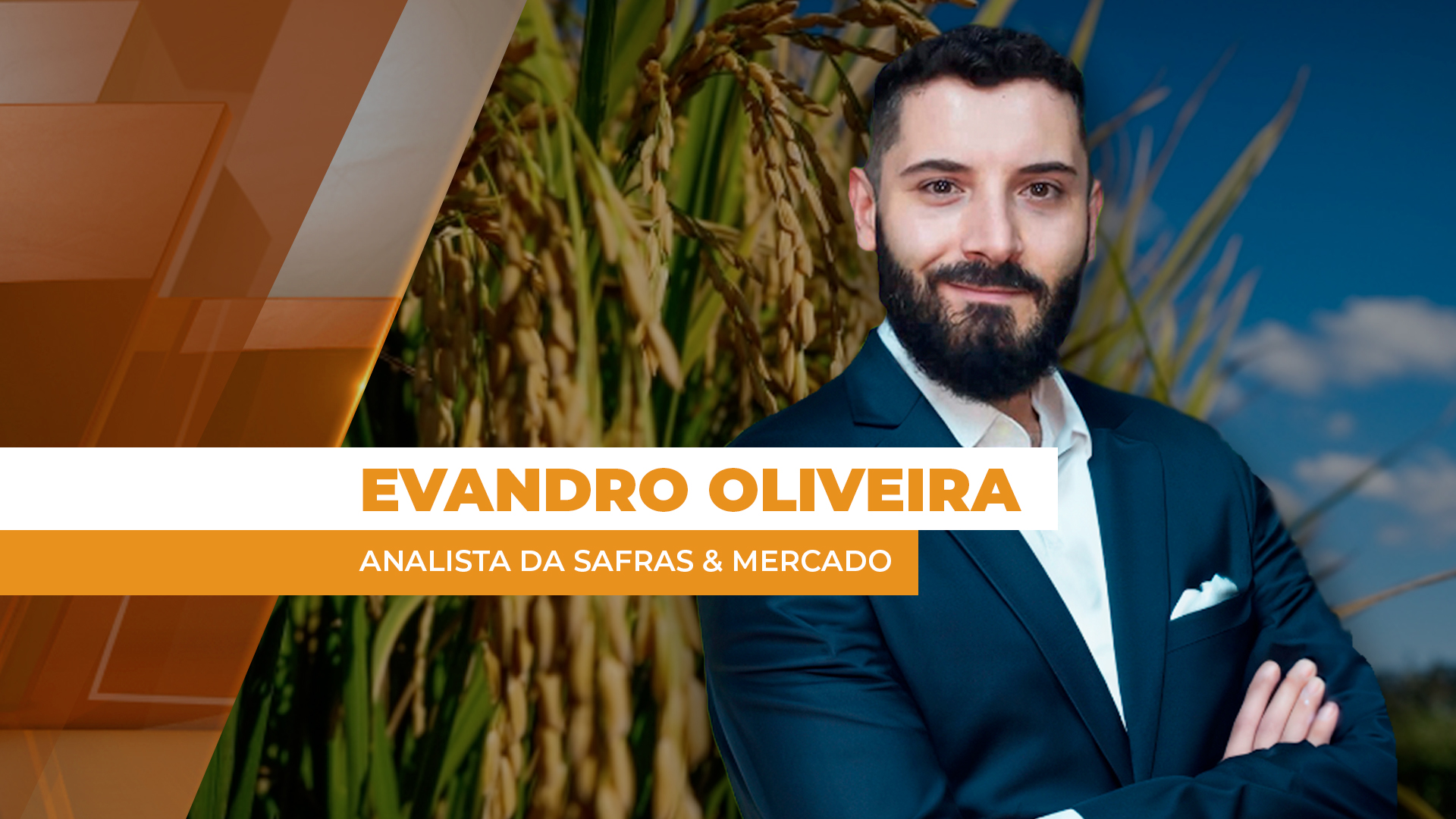 Setor do arroz espera urgente medidas governamentais que atuem sobre o custo de produção, diz analista