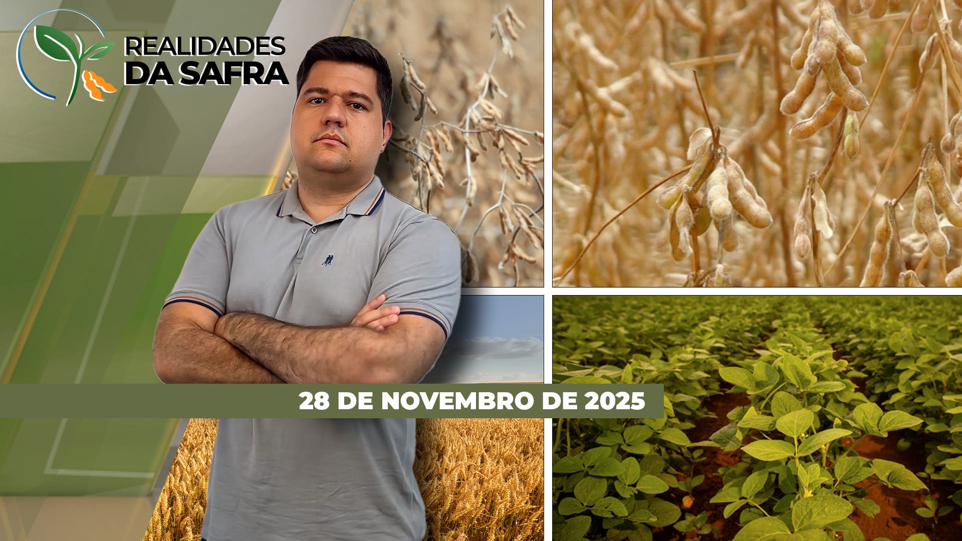 Chuvas irregulares afetam desenvolvimento da soja em São Gabriel do Oeste/MS e em áreas do Mato Grosso