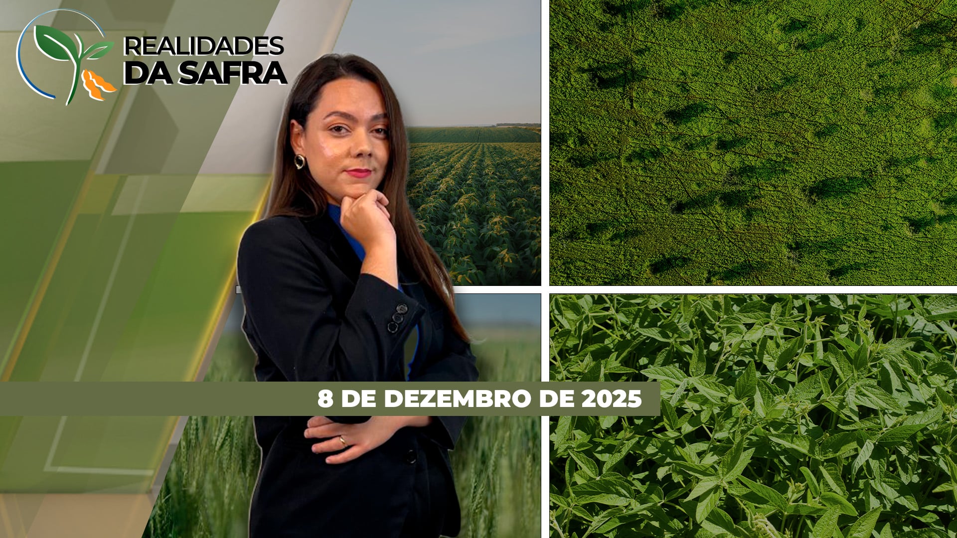 Produtores relatam dificuldade no seguro rural em Campo Mourão/PR, enquanto replantio da soja deve reduzir a segunda safra em Palmas/TO