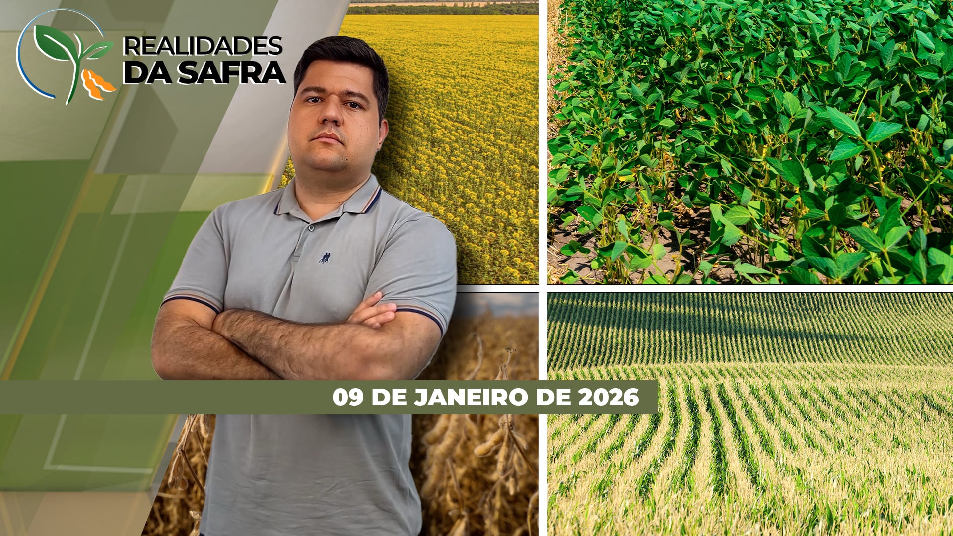 Rio Grande do Sul registra chuvas que ajudam a soja e projeta safra melhor do que a dos últimos anos